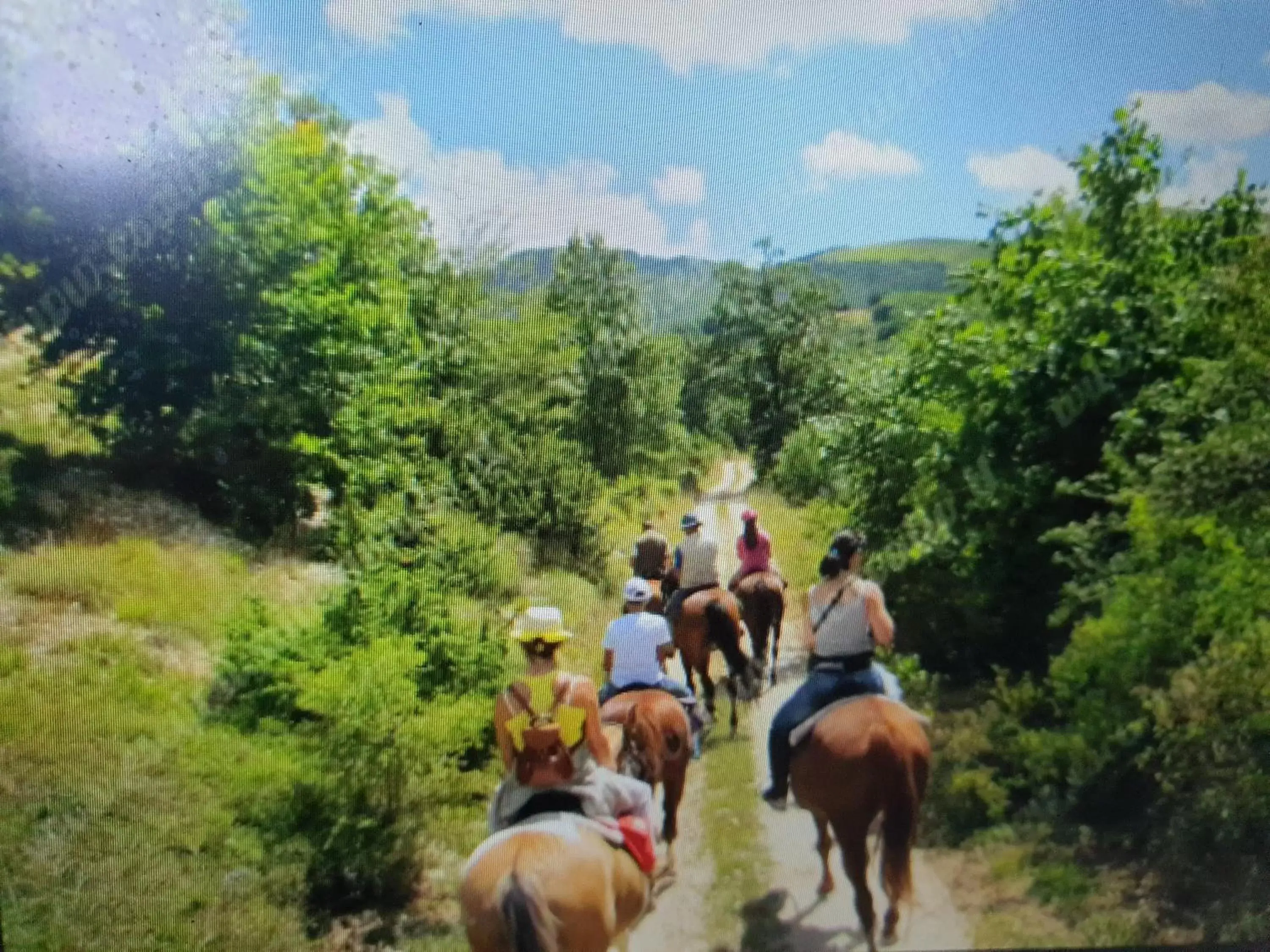 Horse-riding, Horseback Riding in Oasi del benessere