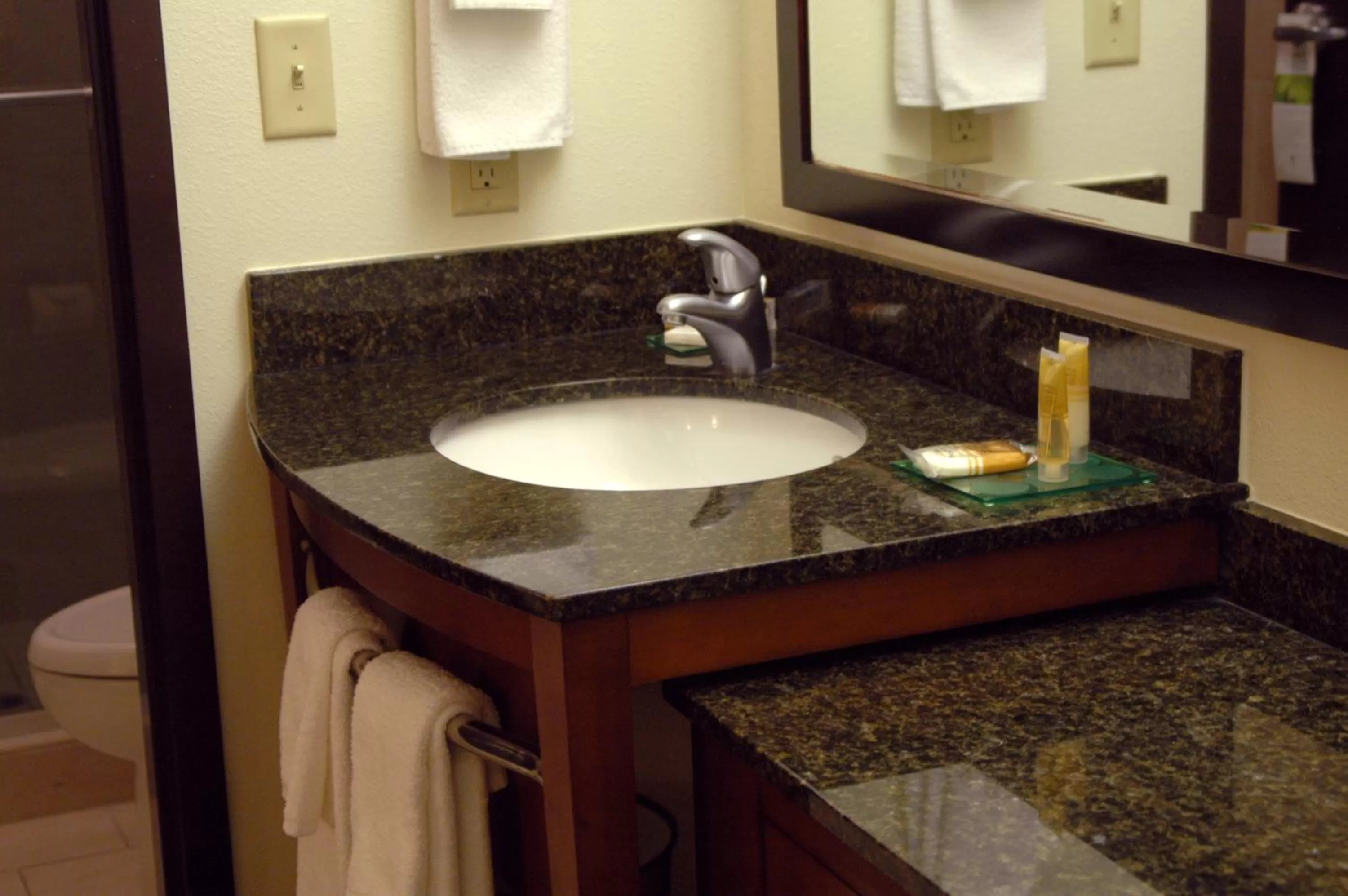 Bathroom in Hyatt Place Reno/Tahoe Airport