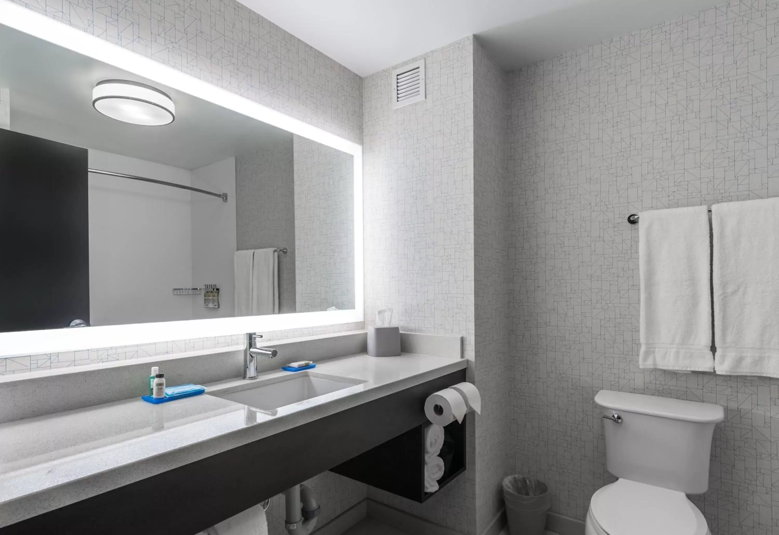 Standard King Room with Accessible Roll-In Shower in Holiday Inn Express Hotel & Suites Yuma, an IHG Hotel
