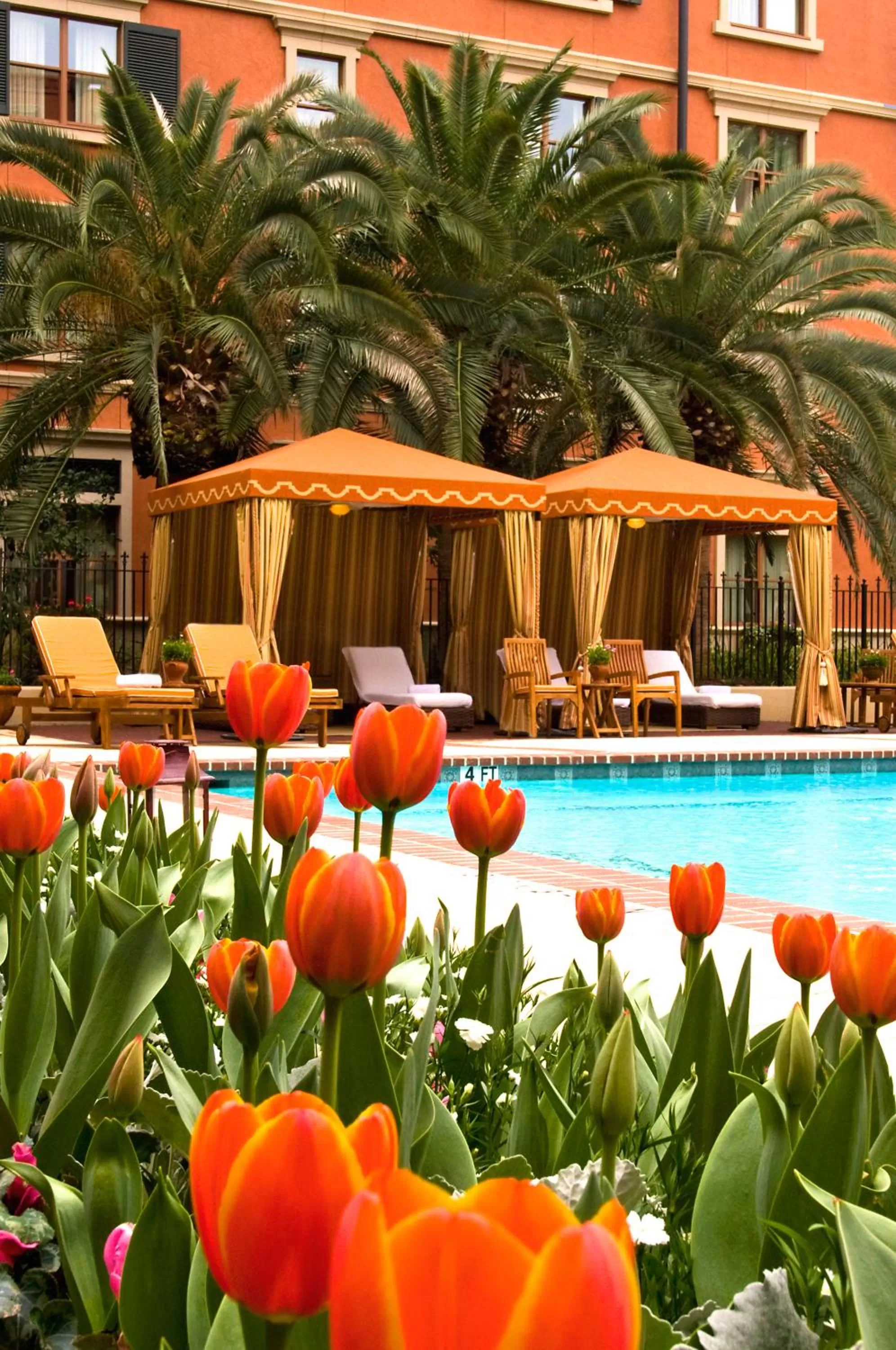 Garden in Hotel Granduca Houston