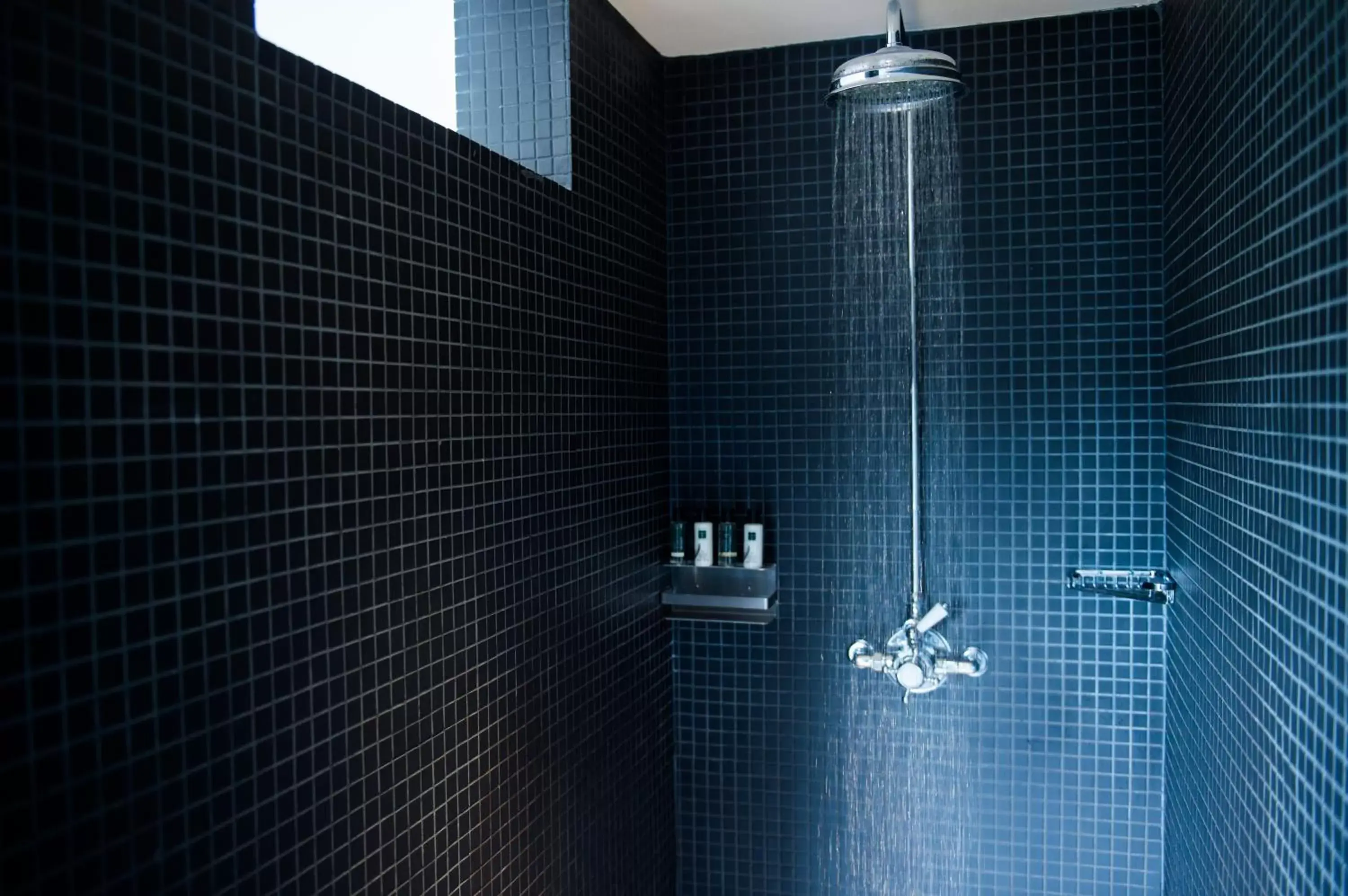 Shower in Hotel Du Vin & Bistro Tunbridge Wells
