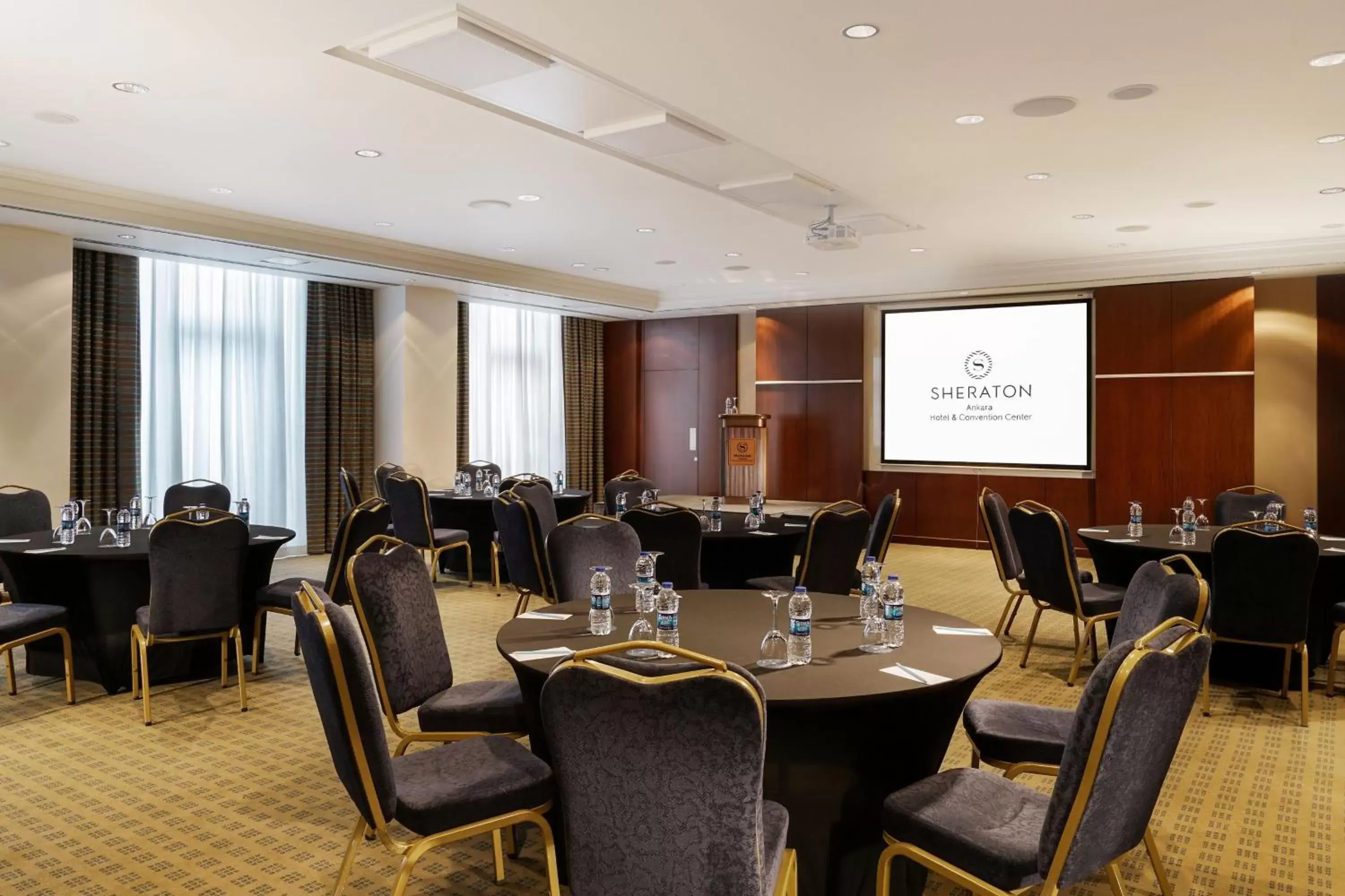 Meeting/conference room in Sheraton Ankara Hotel & Convention Center