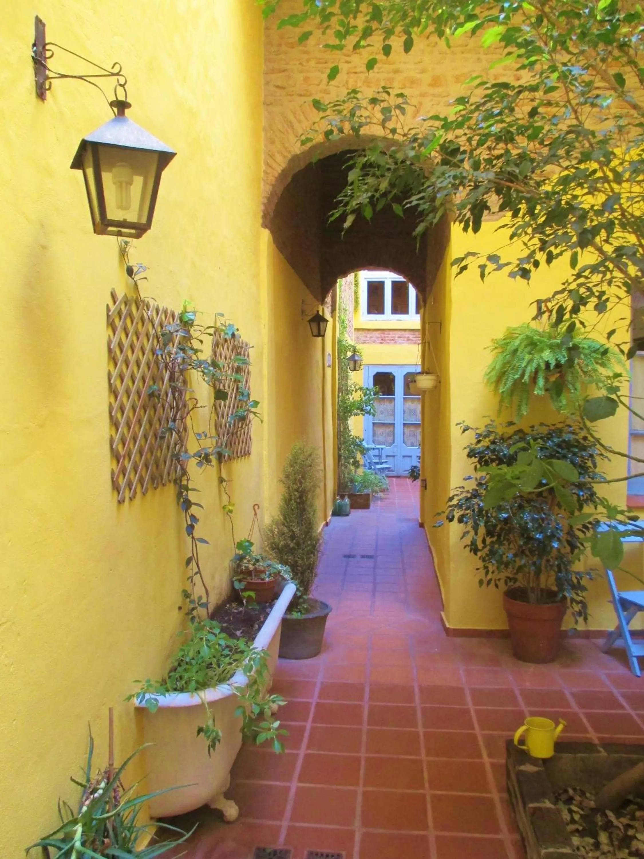 Garden in La Querencia de Buenos Aires