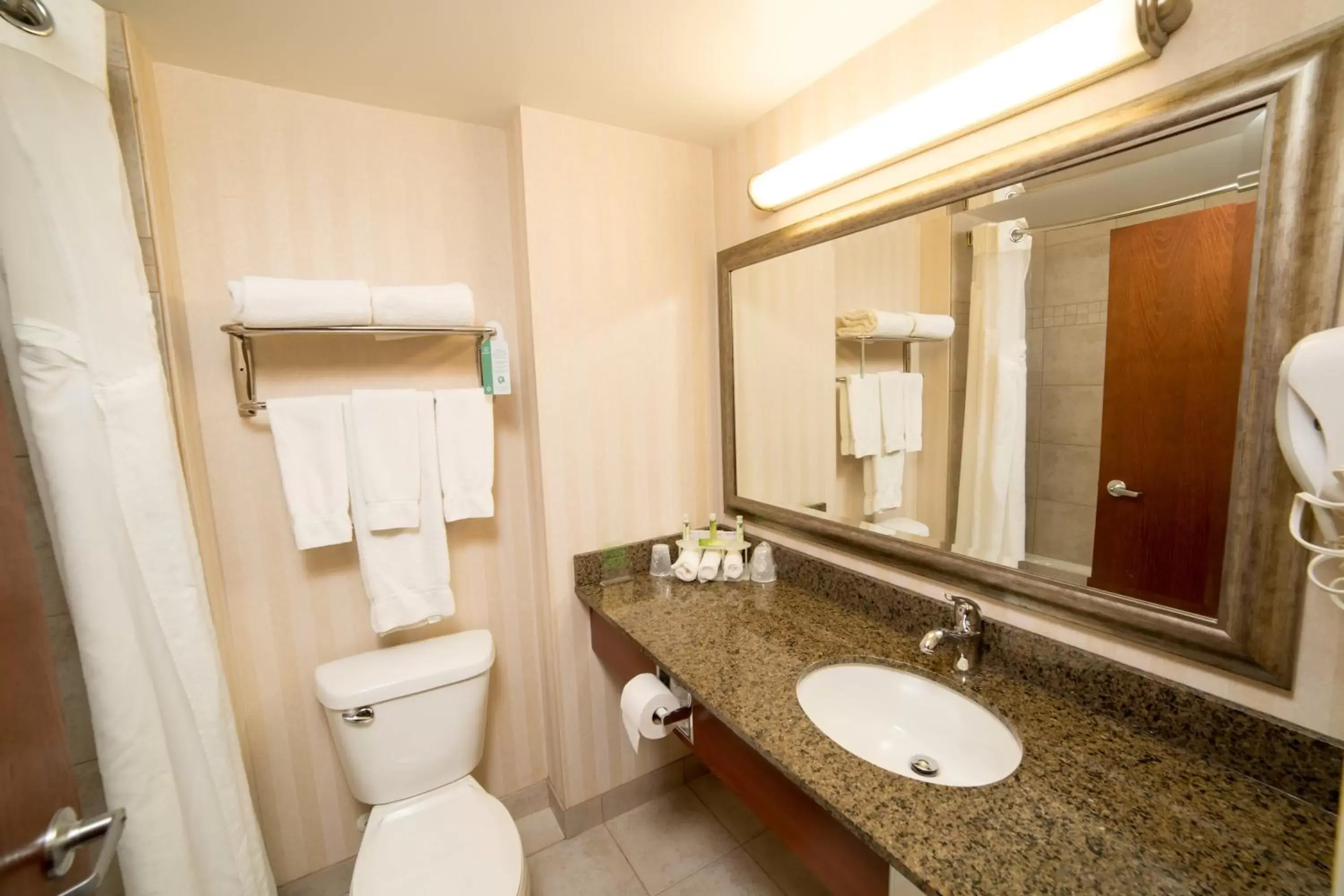 Bathroom in Holiday Inn Express & Suites Drayton Valley, an IHG Hotel