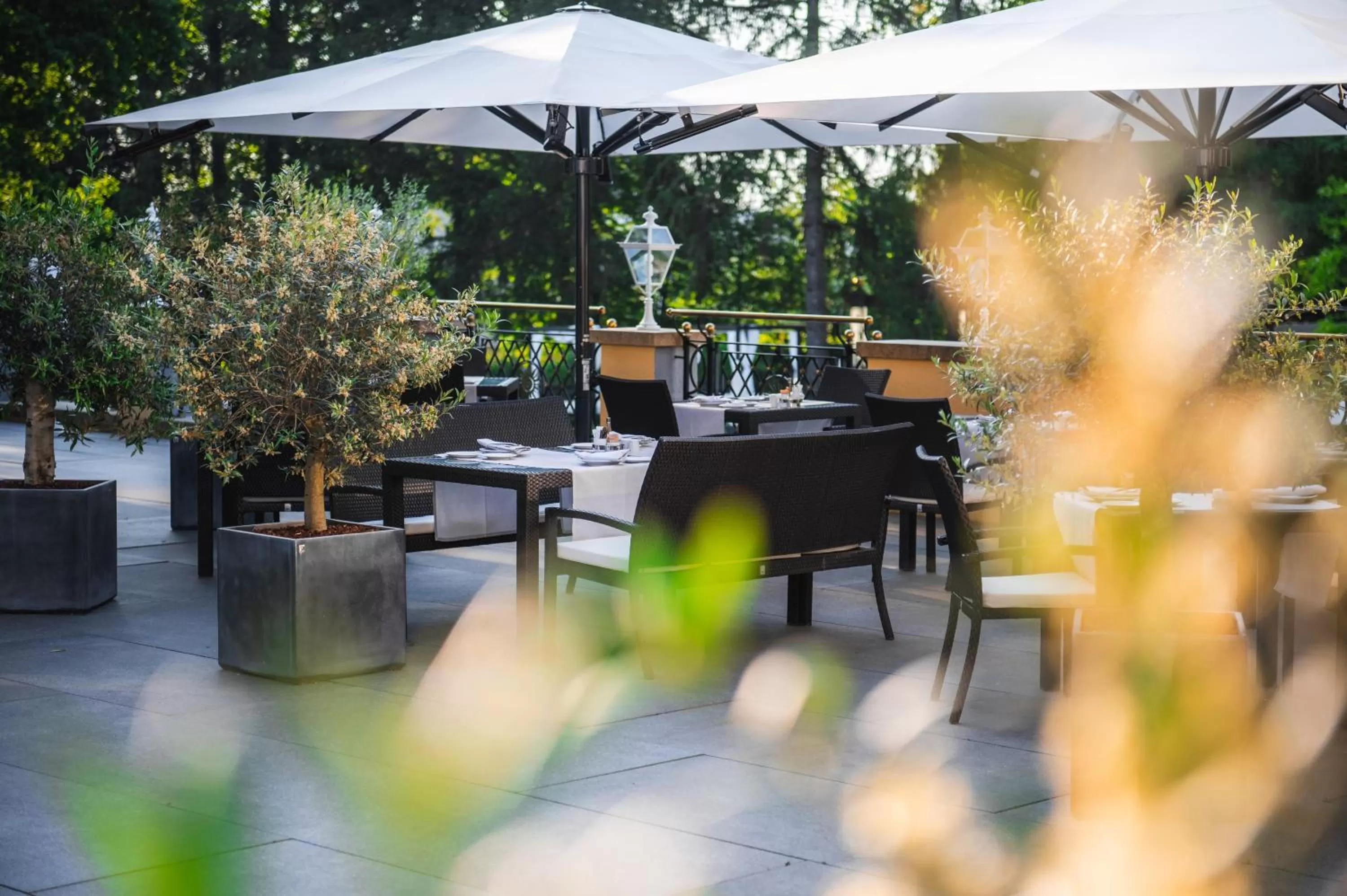 Restaurant/places to eat in Steigenberger Hotel Der Sonnenhof