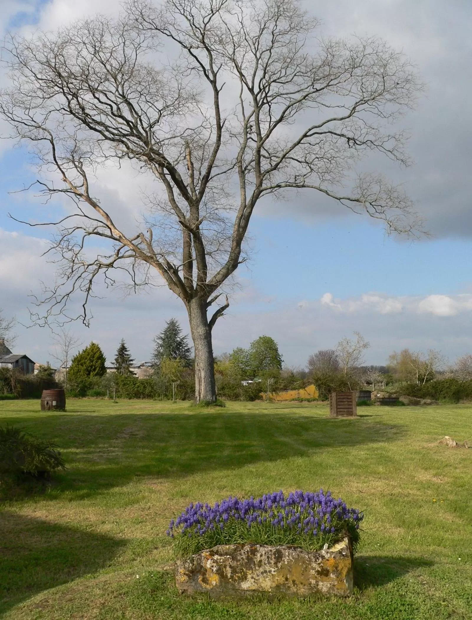 Garden in La Bribaudonnière