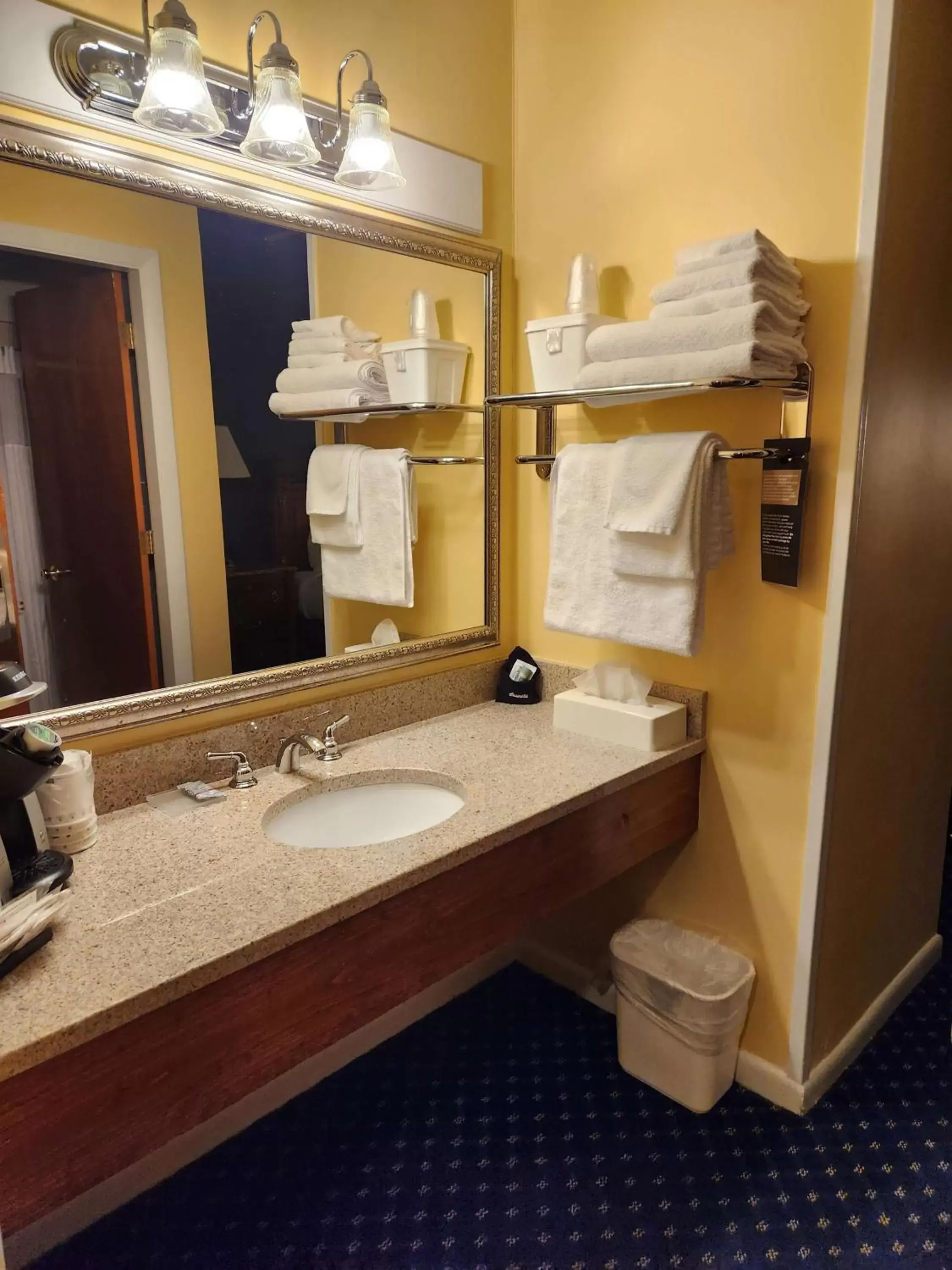 Bathroom in Best Western White House Inn