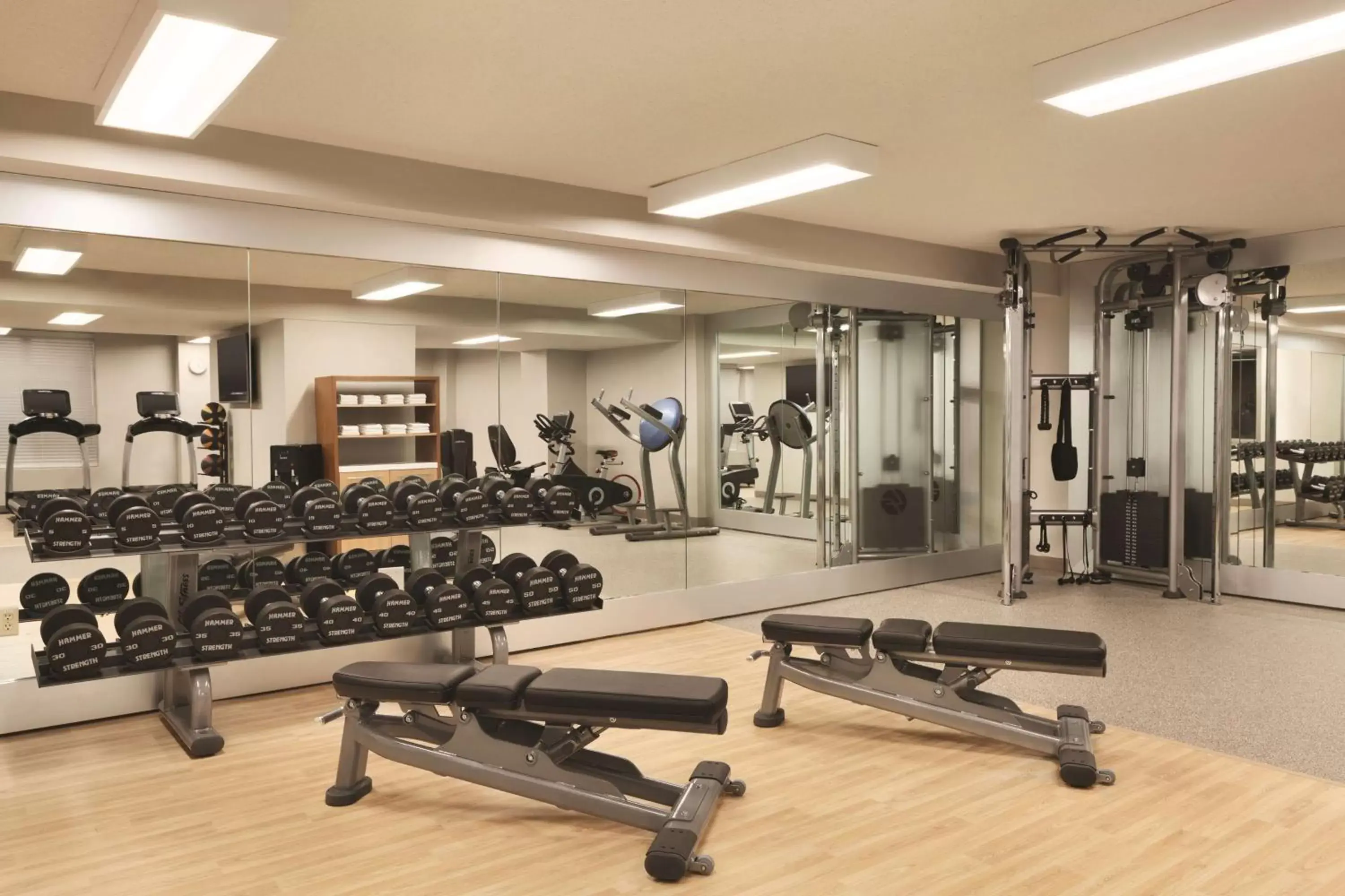 Fitness centre/facilities, Fitness Center/Facilities in Embassy Suites by Hilton Atlanta at Centennial Olympic Park