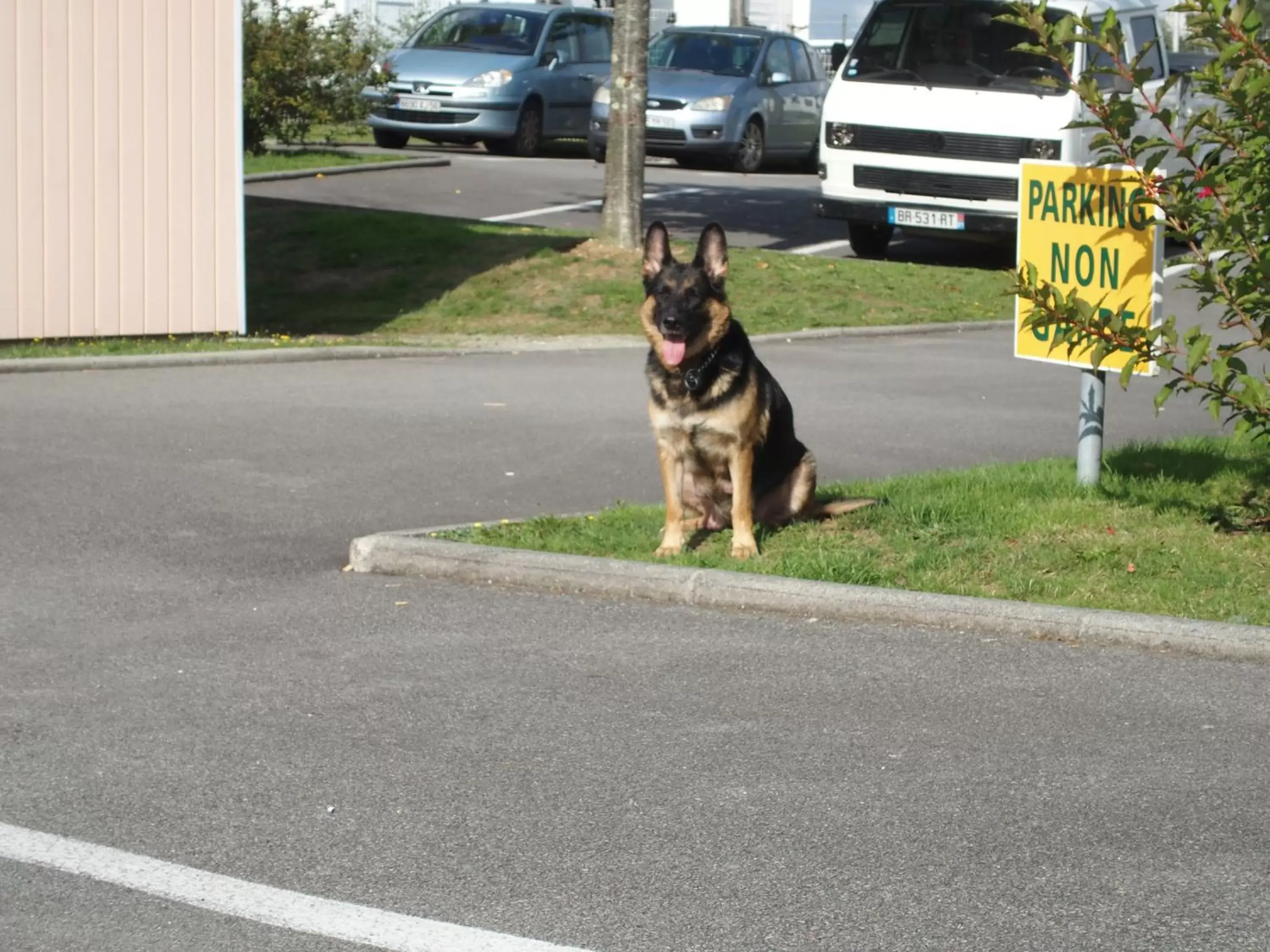 Pets in Quick Palace Vannes