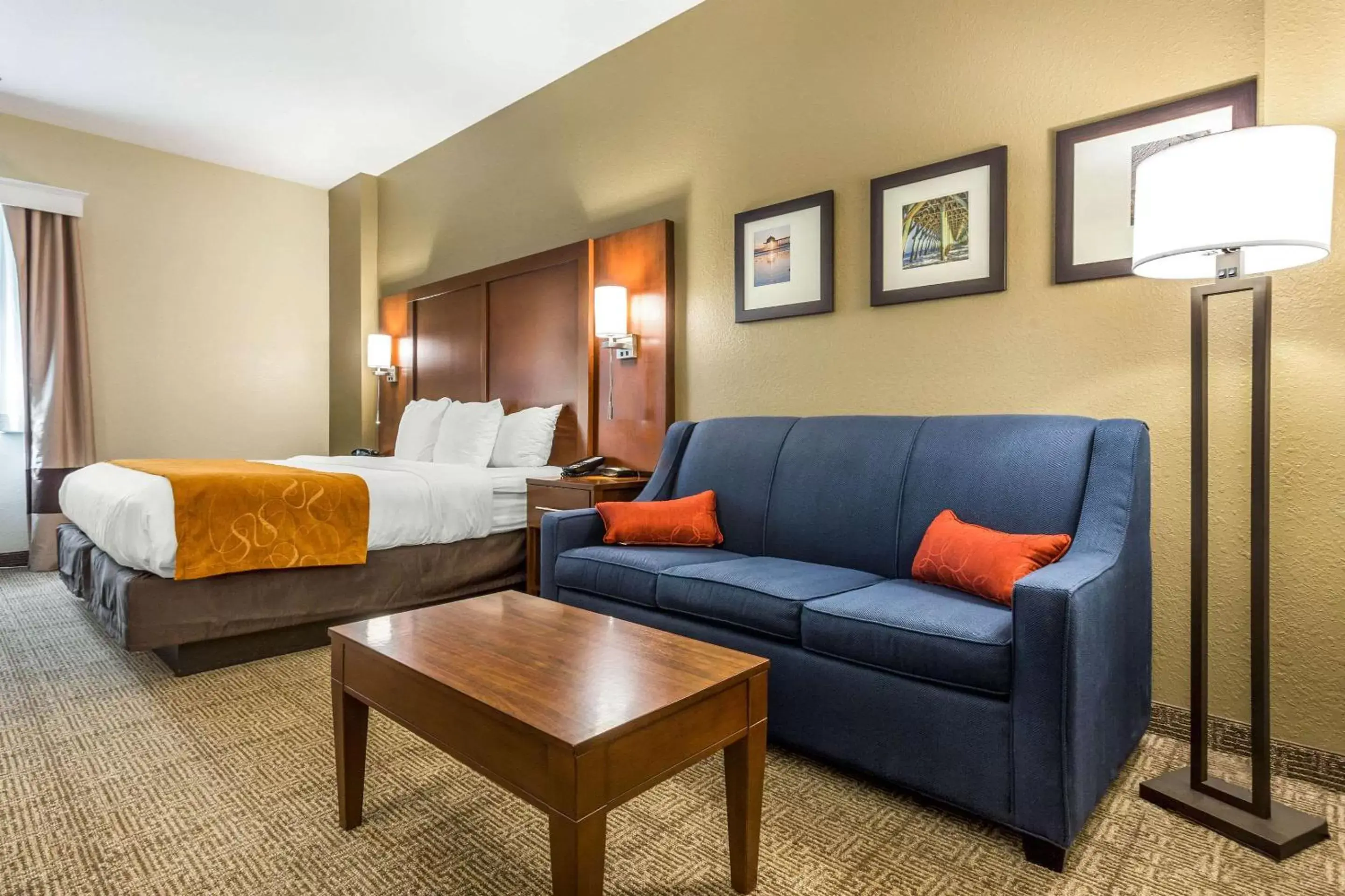 Photo of the whole room in Comfort Suites At the University