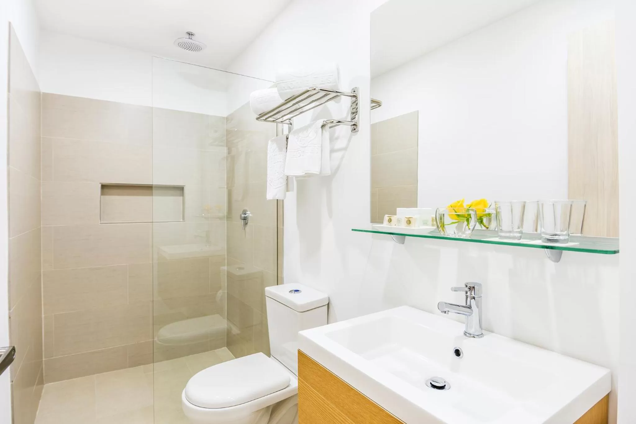 Shower in Hotel Asturias Medellin