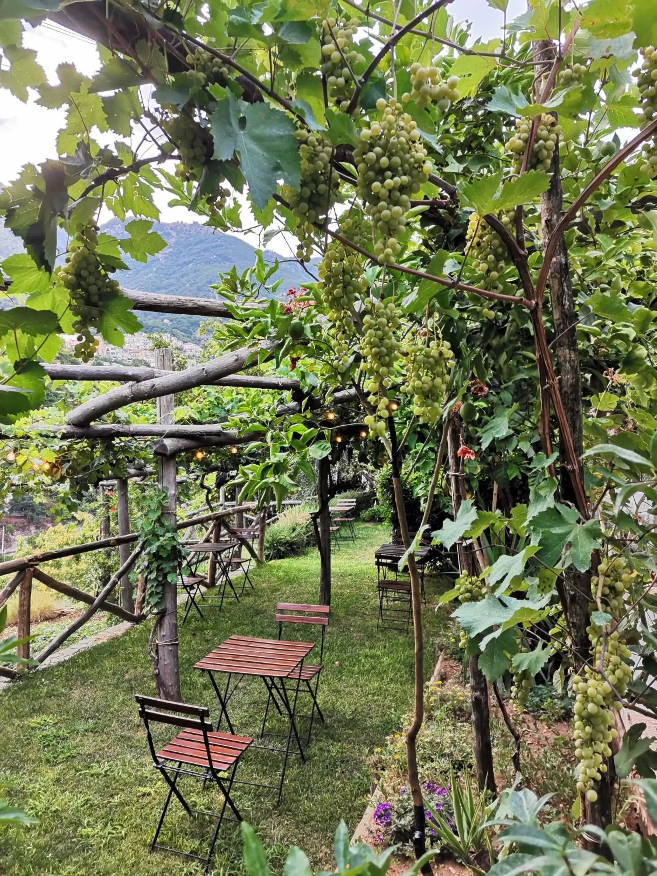 Garden in La Gemma di Ravello