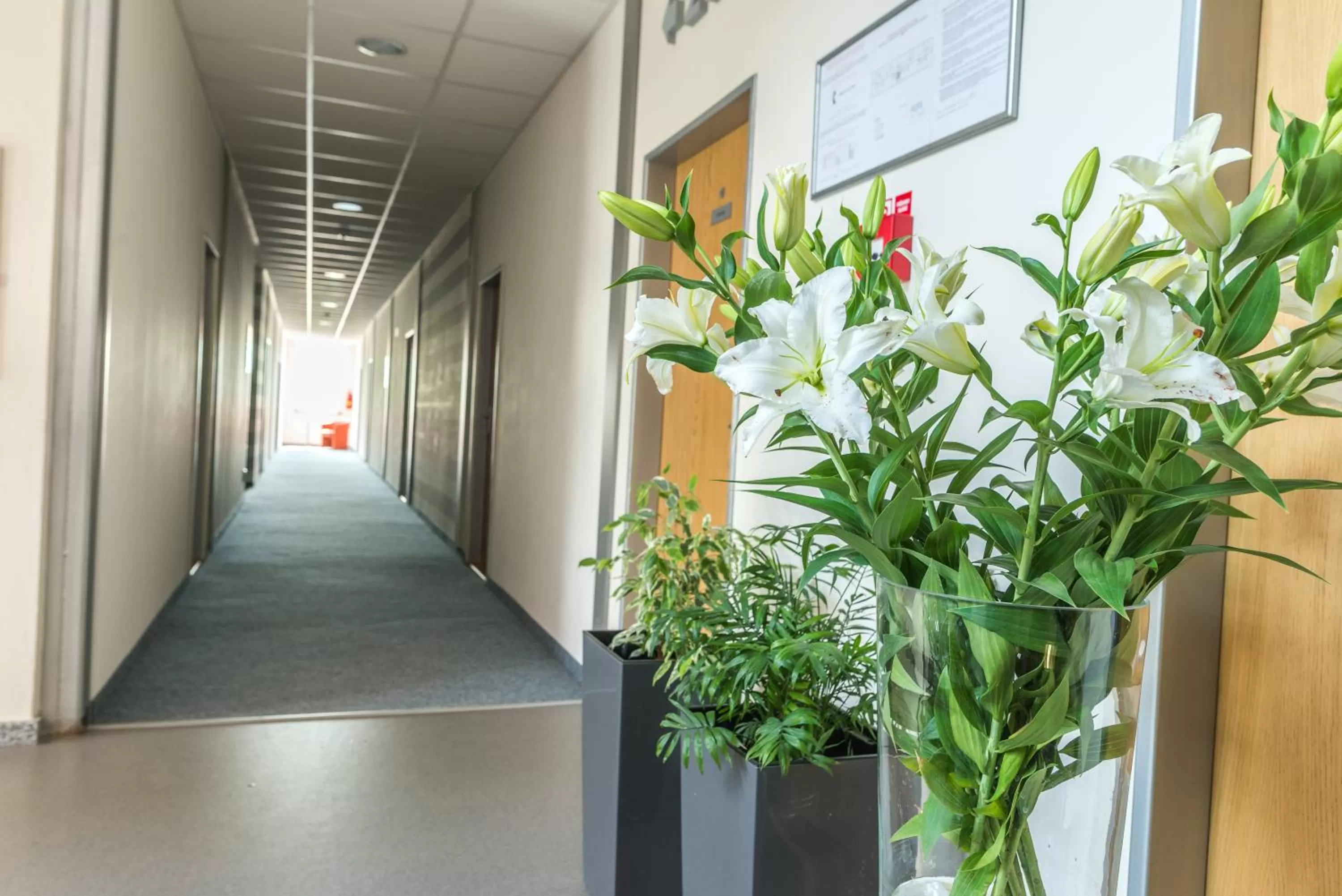 Other in City Hotel B&B, reception 24 7, 800m od-from R1, free parking