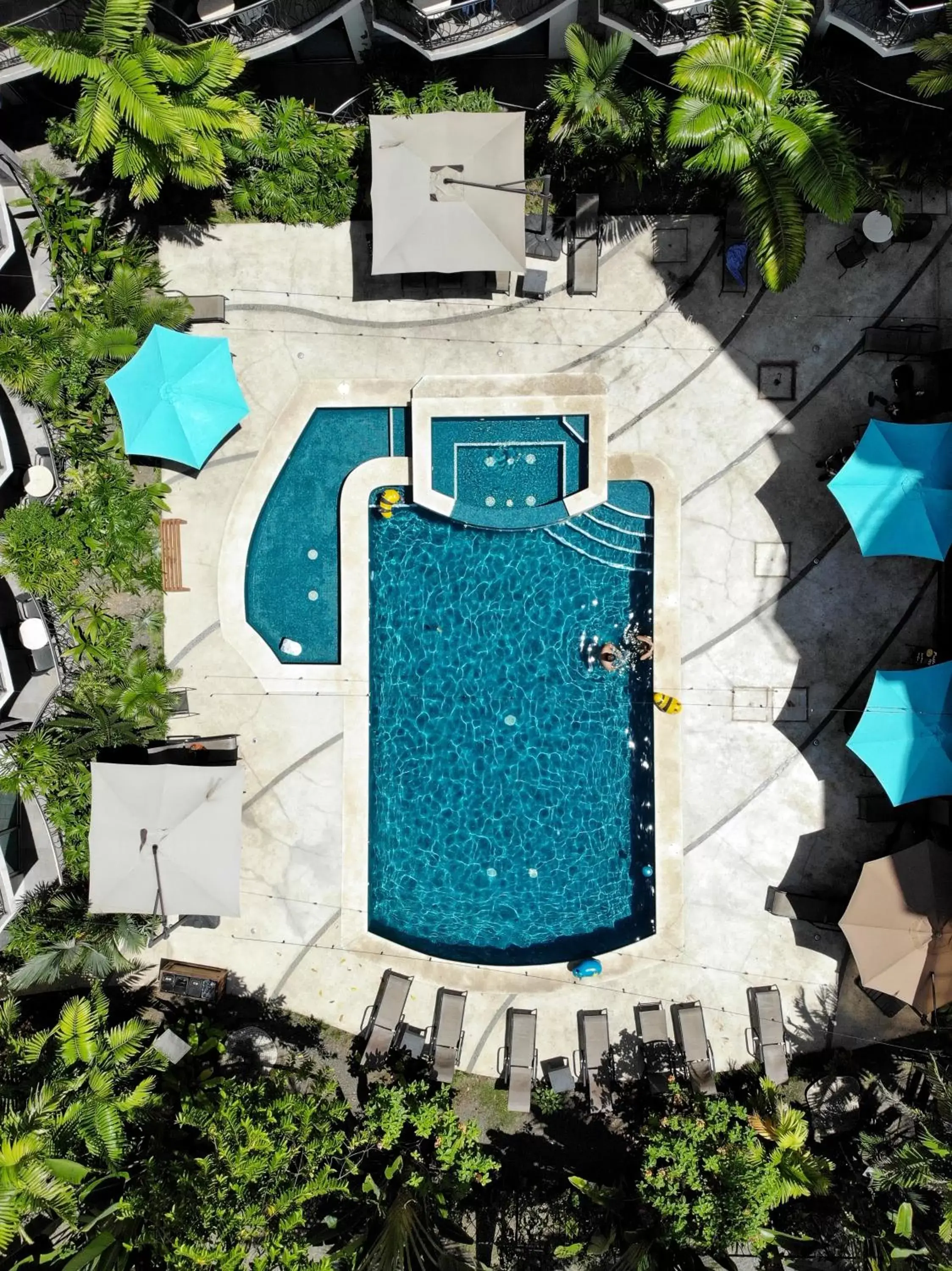 Swimming pool in PACIFIC SUITES Boutique Hotel and Bistro