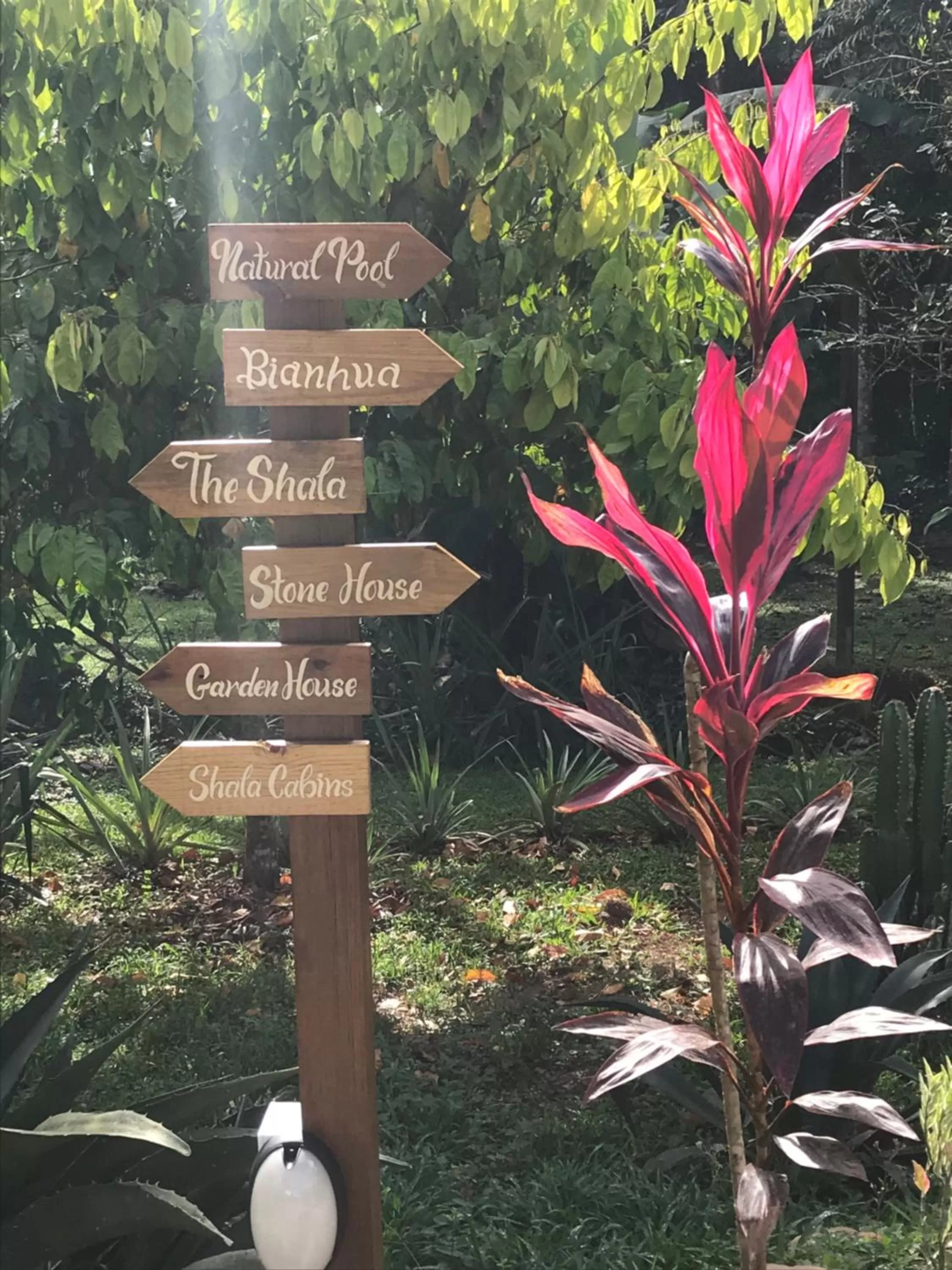 Area and facilities in Sattva Land