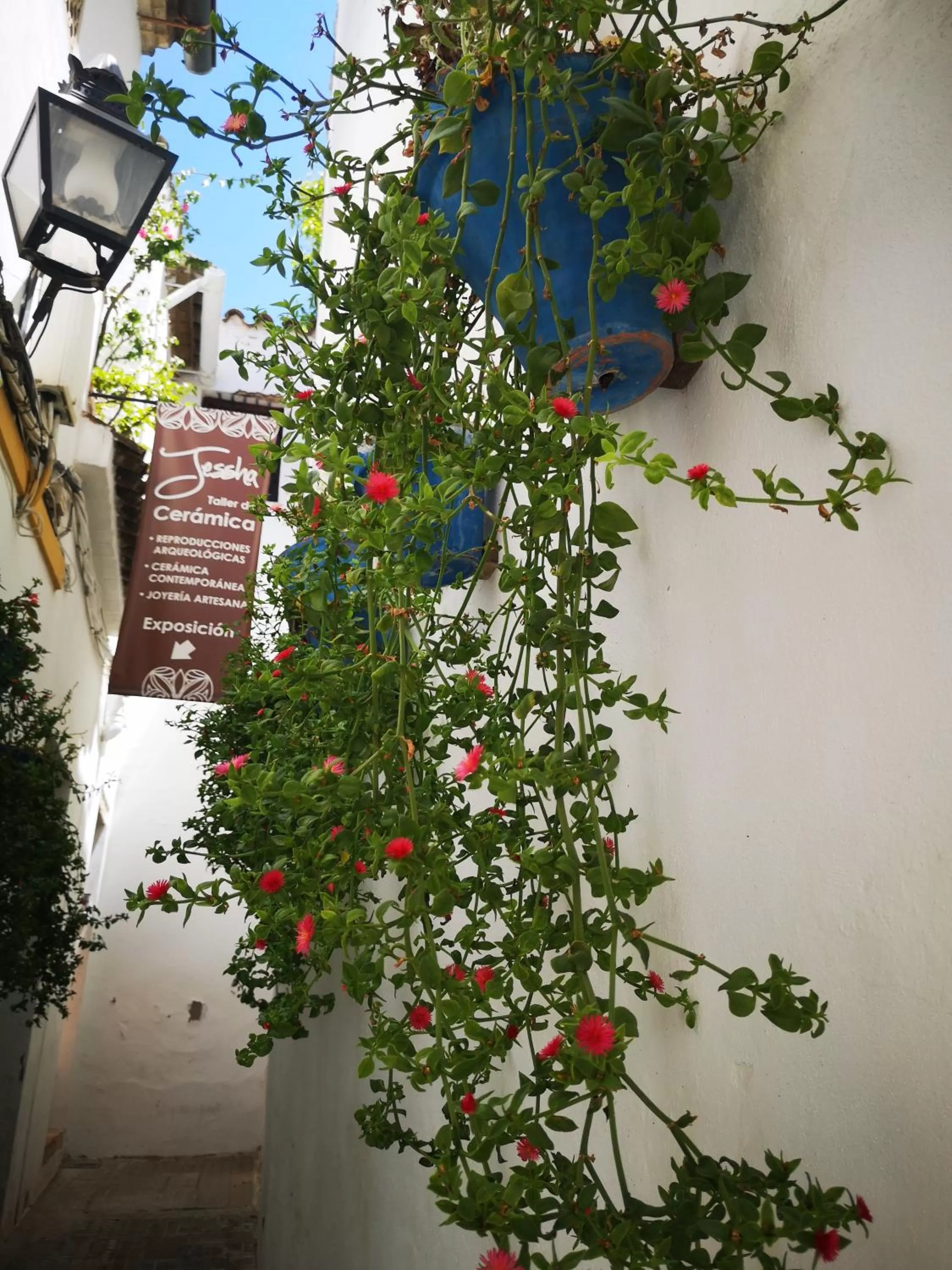 Facade/entrance in La Llave de la Judería Hotel Boutique