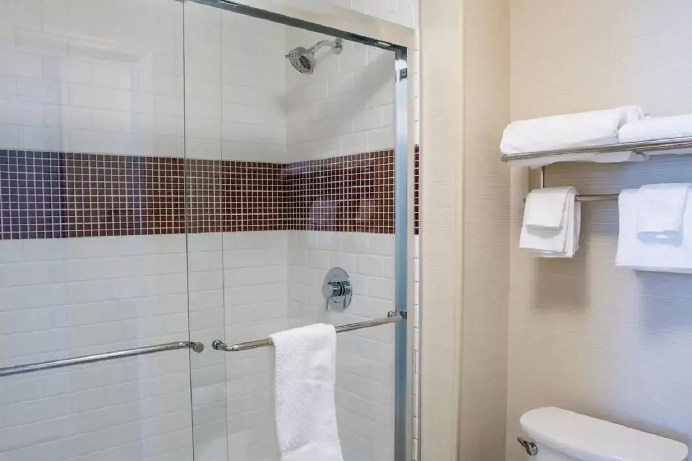 Shower, Bathroom in Staybridge Suites Denver Downtown, an IHG Hotel