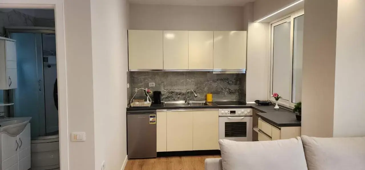 Kitchen or kitchenette, Kitchen/Kitchenette in Signature Idea hotel