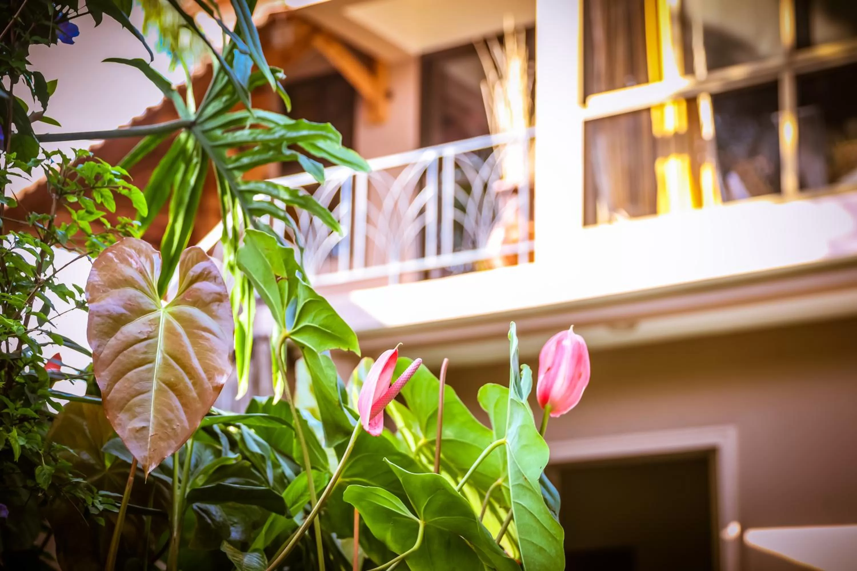 BBQ facilities in Zawadi House Lodge