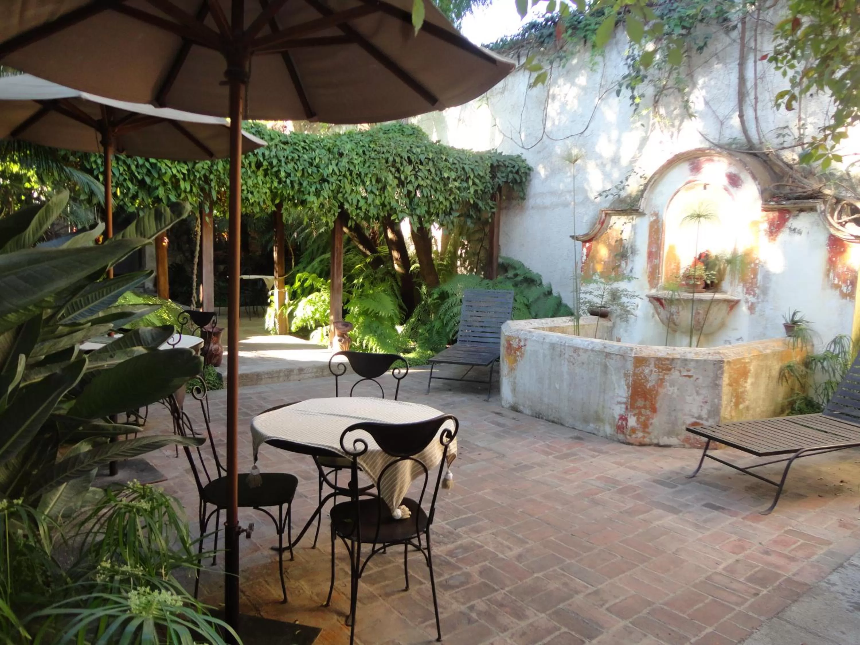 Garden in Cissus Hotel Boutique