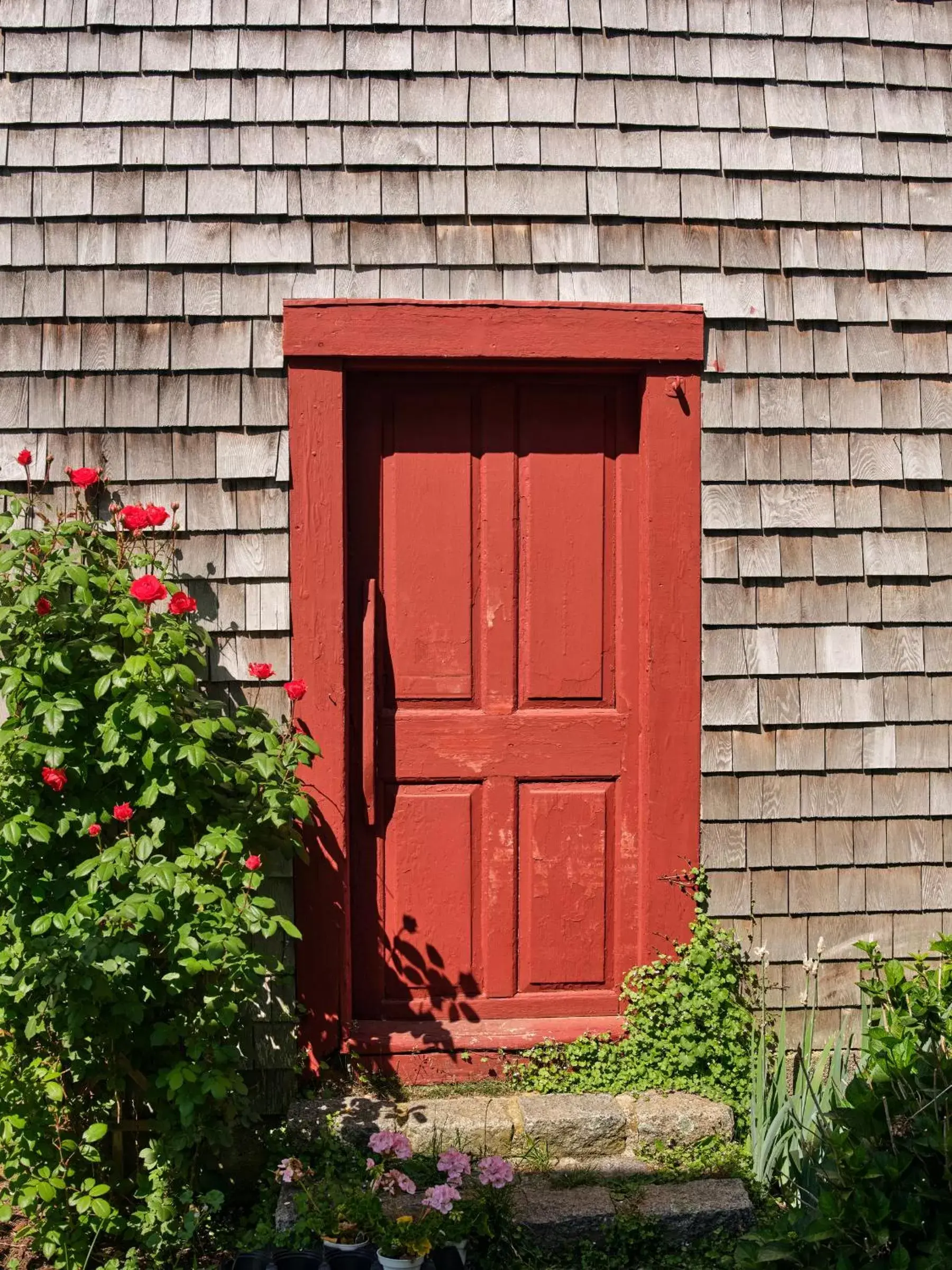 Cedar Hill Farm B & B