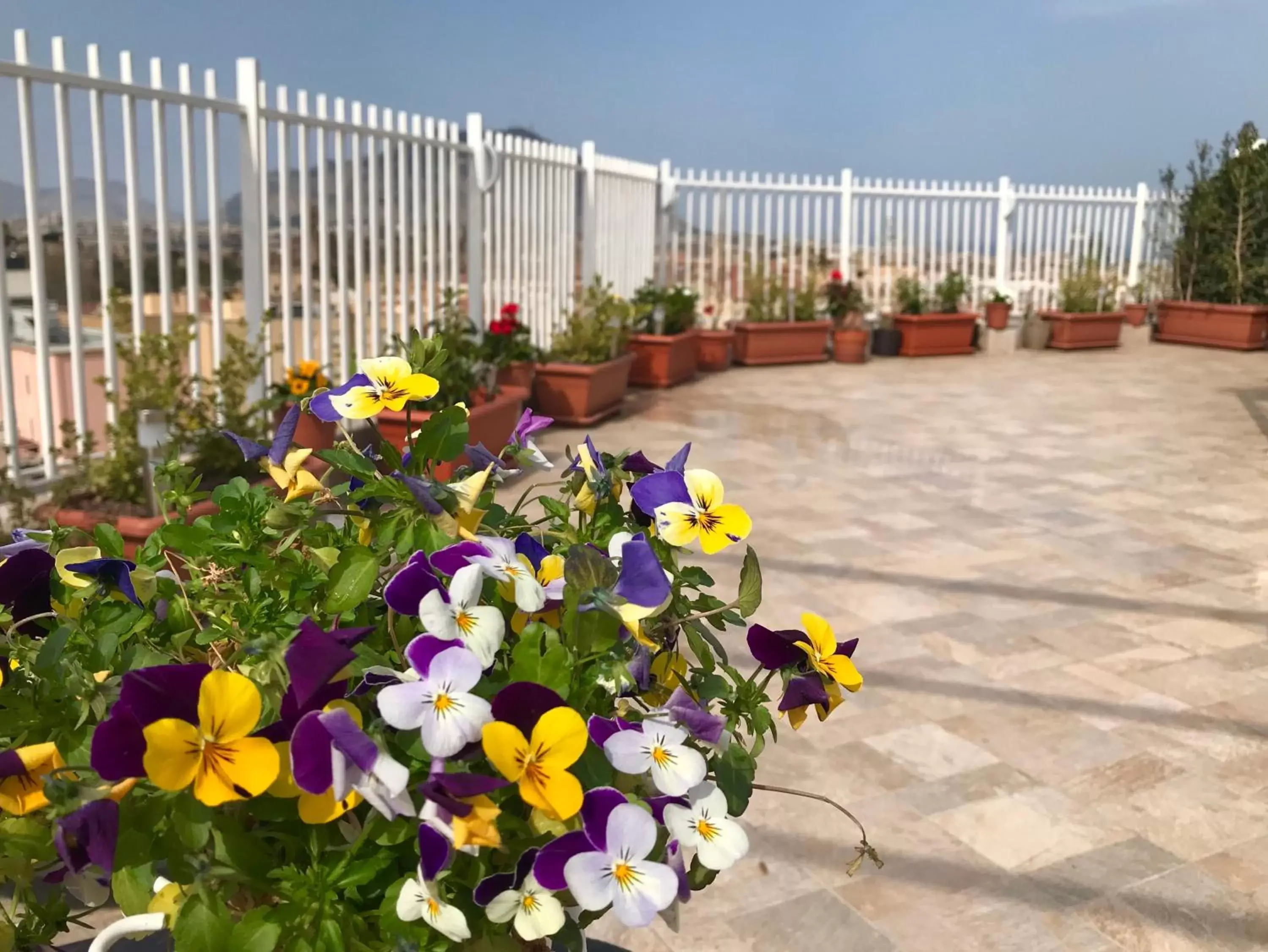 Balcony/Terrace in LeAlbe di Sicilia