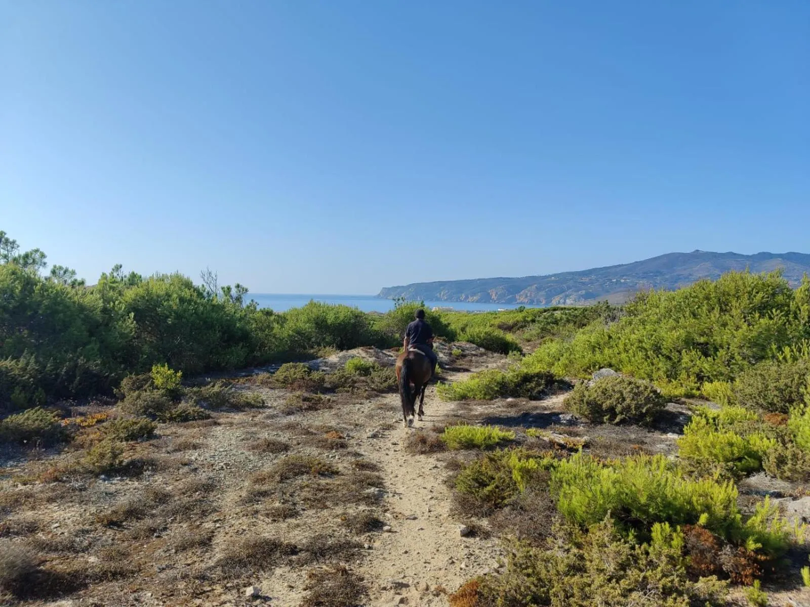 Activities in Hotel Fortaleza do Guincho Relais & Châteaux