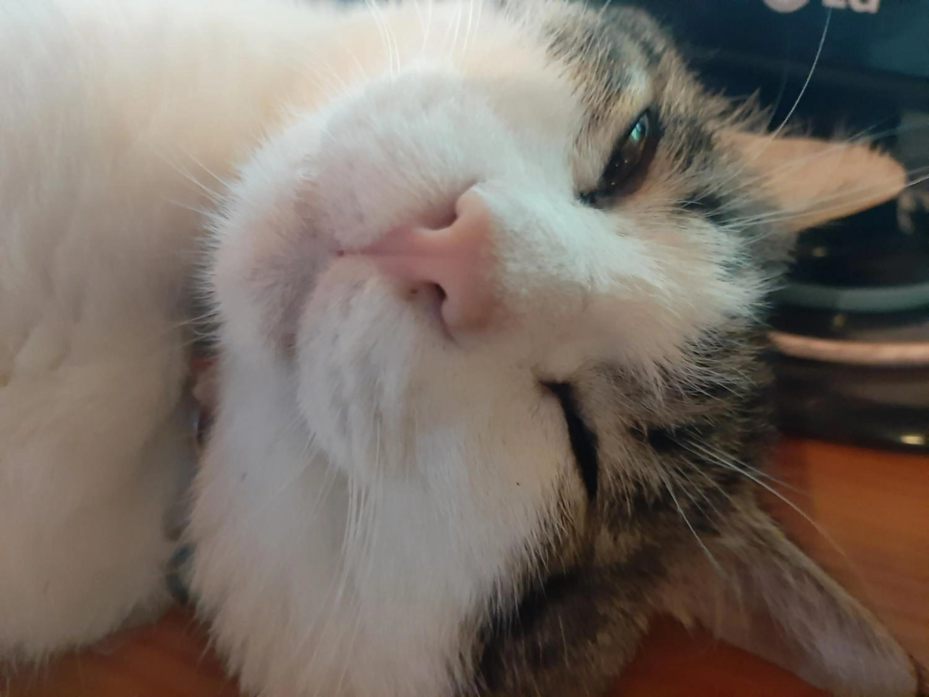 Vanlisut Hotel Ngamwongwan