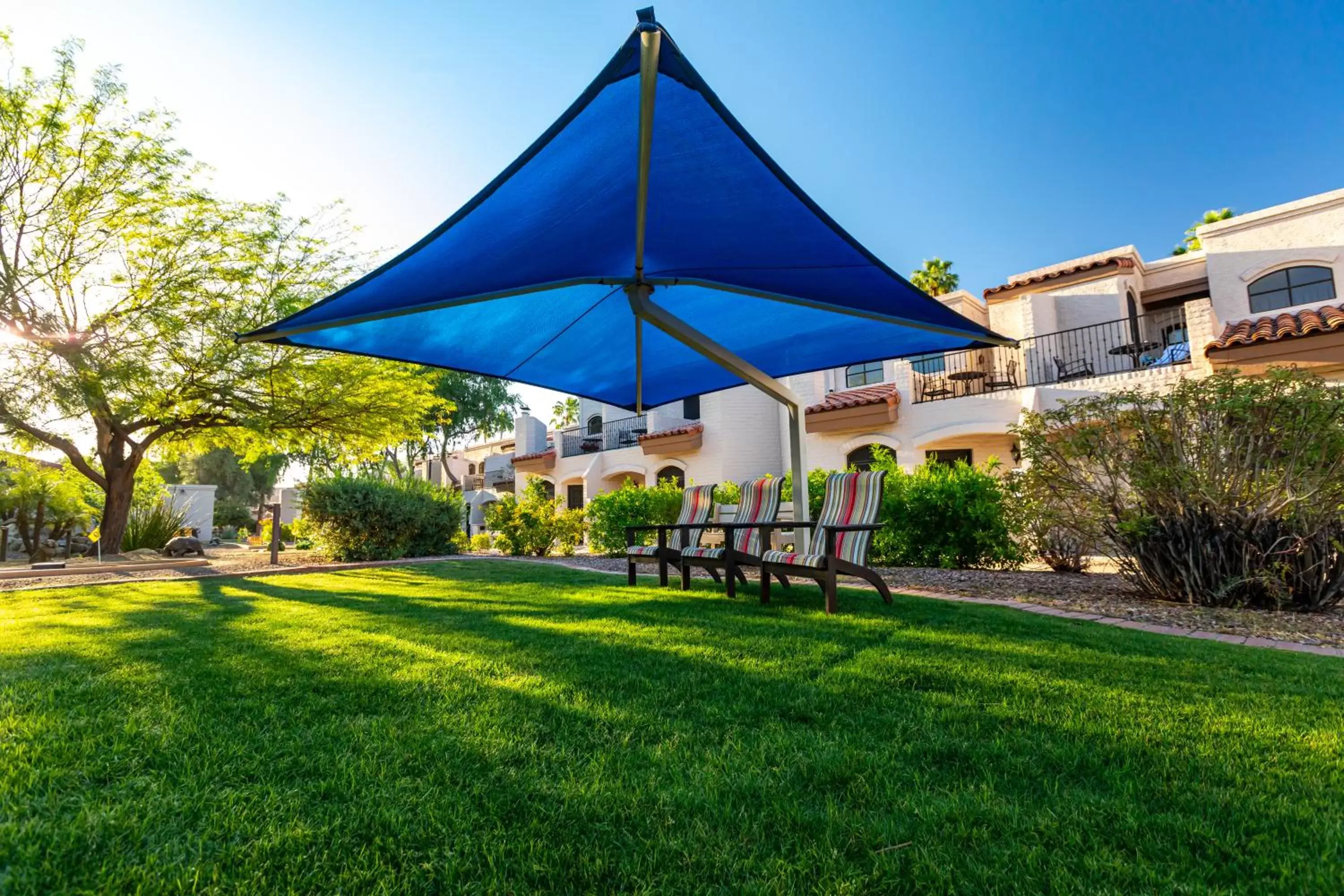 Natural landscape, Garden in Scottsdale Camelback Resort