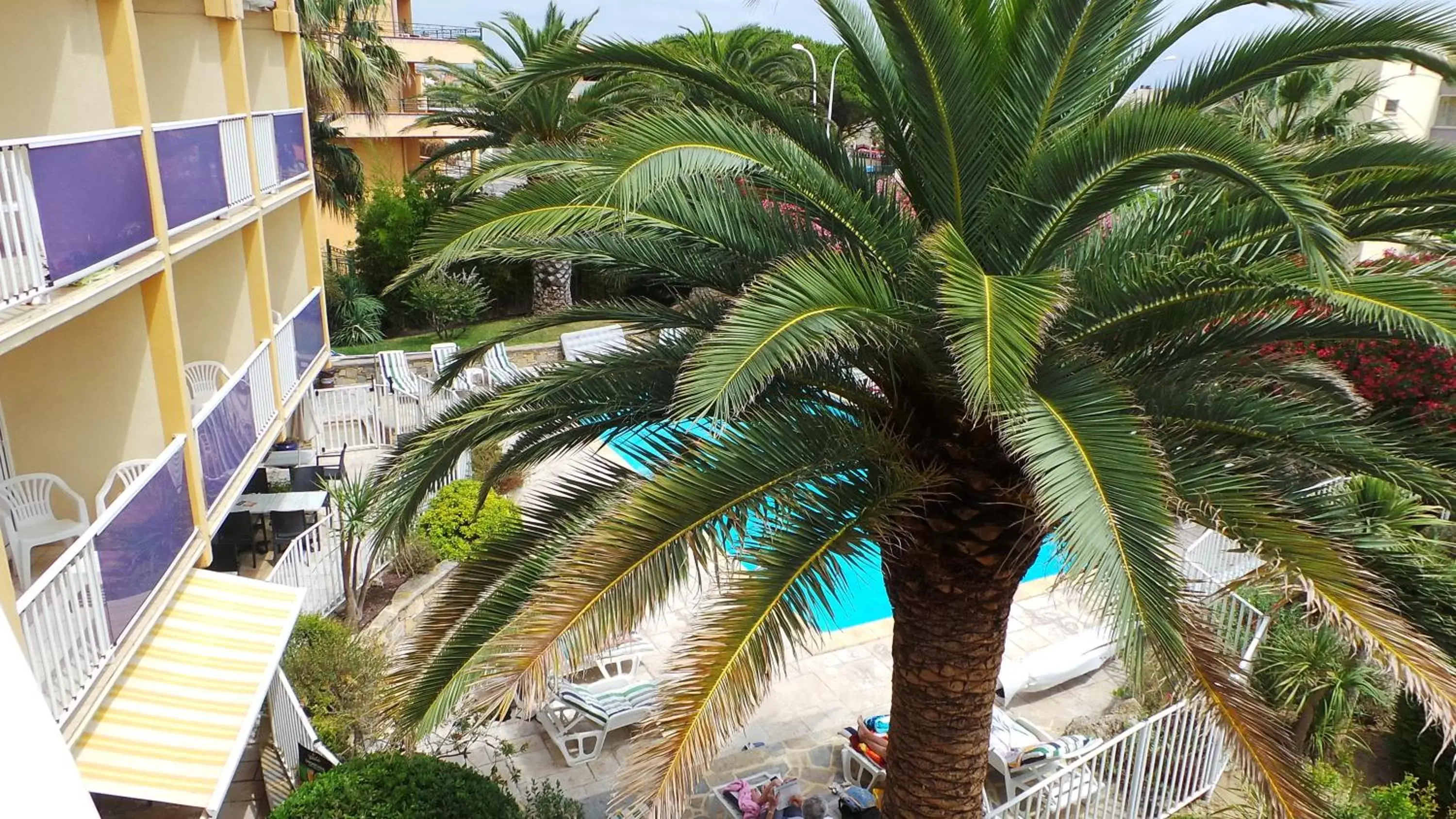 Pool view, Balcony/Terrace in Hotel Albizzia