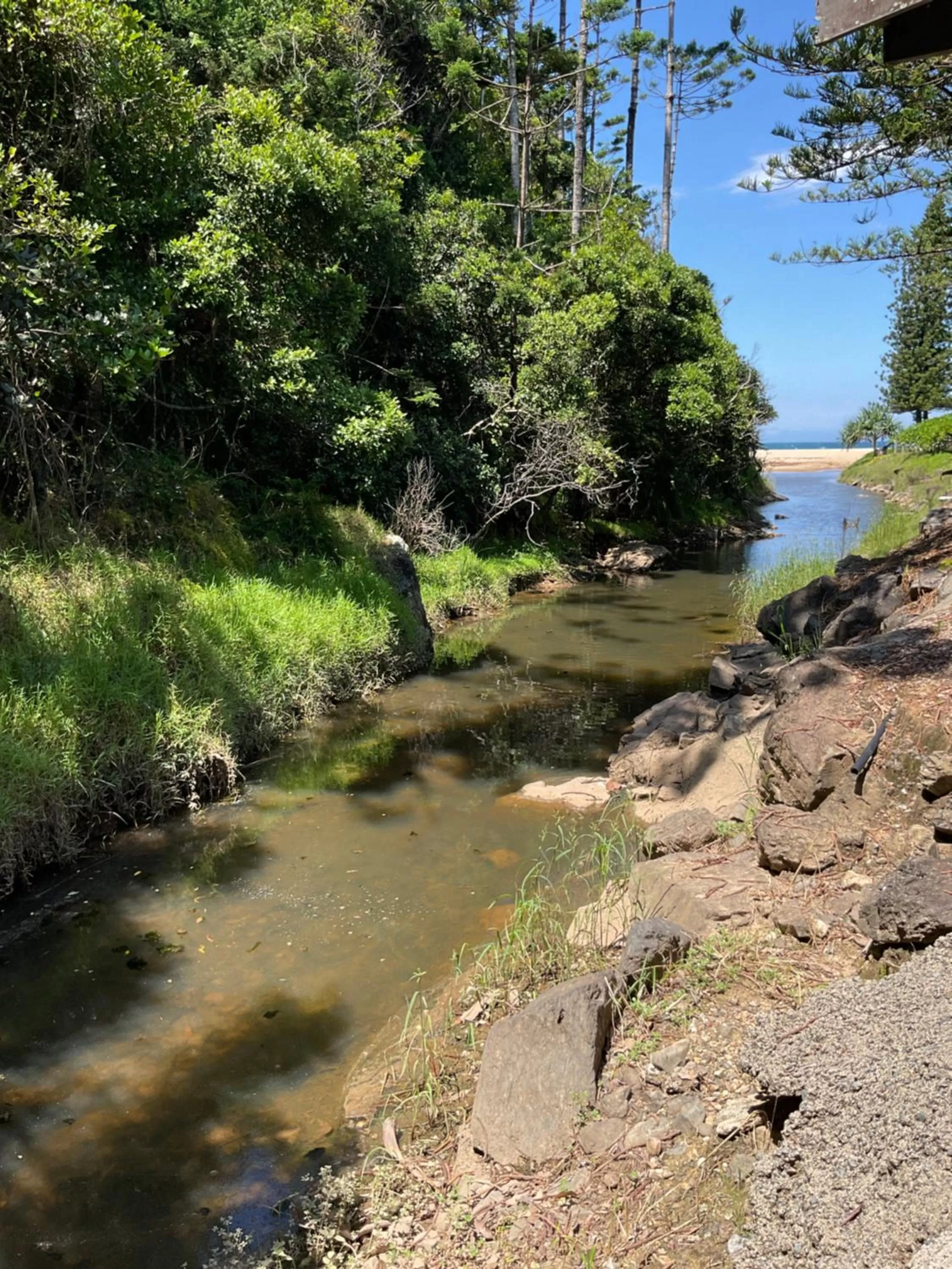 Private Suite Nautilus Beach Front Resort