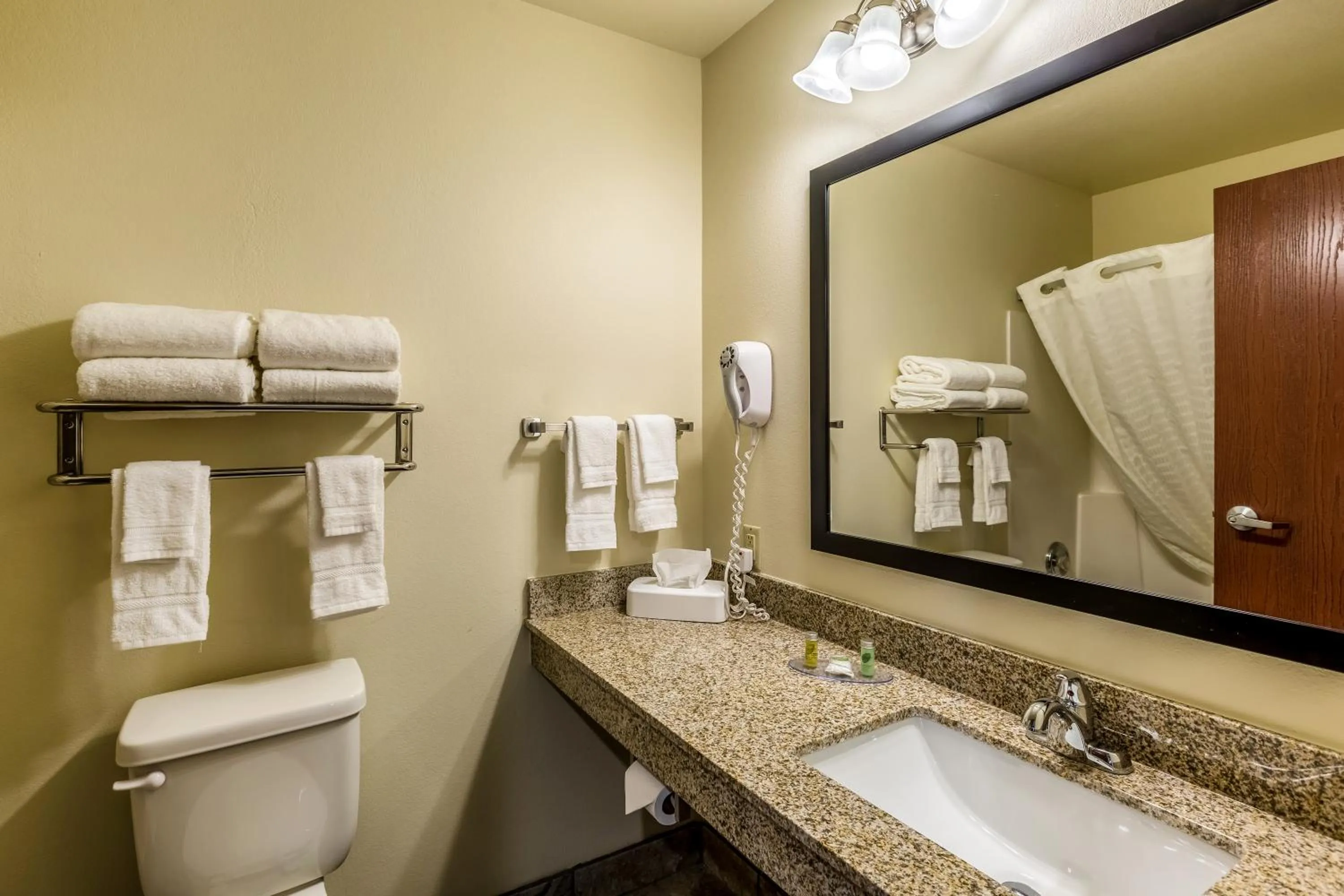 Toilet in Cobblestone Inn & Suites - Merrill
