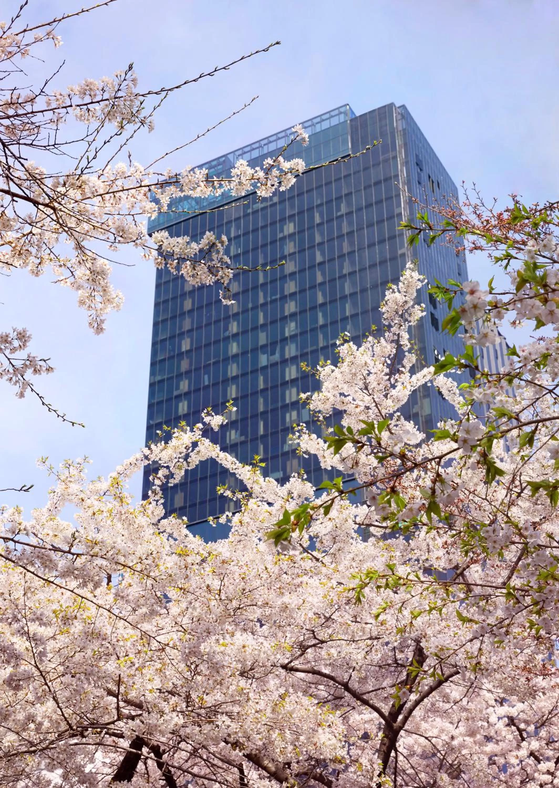 Property building in Sofitel Ambassador Seoul Hotel & Serviced Residences