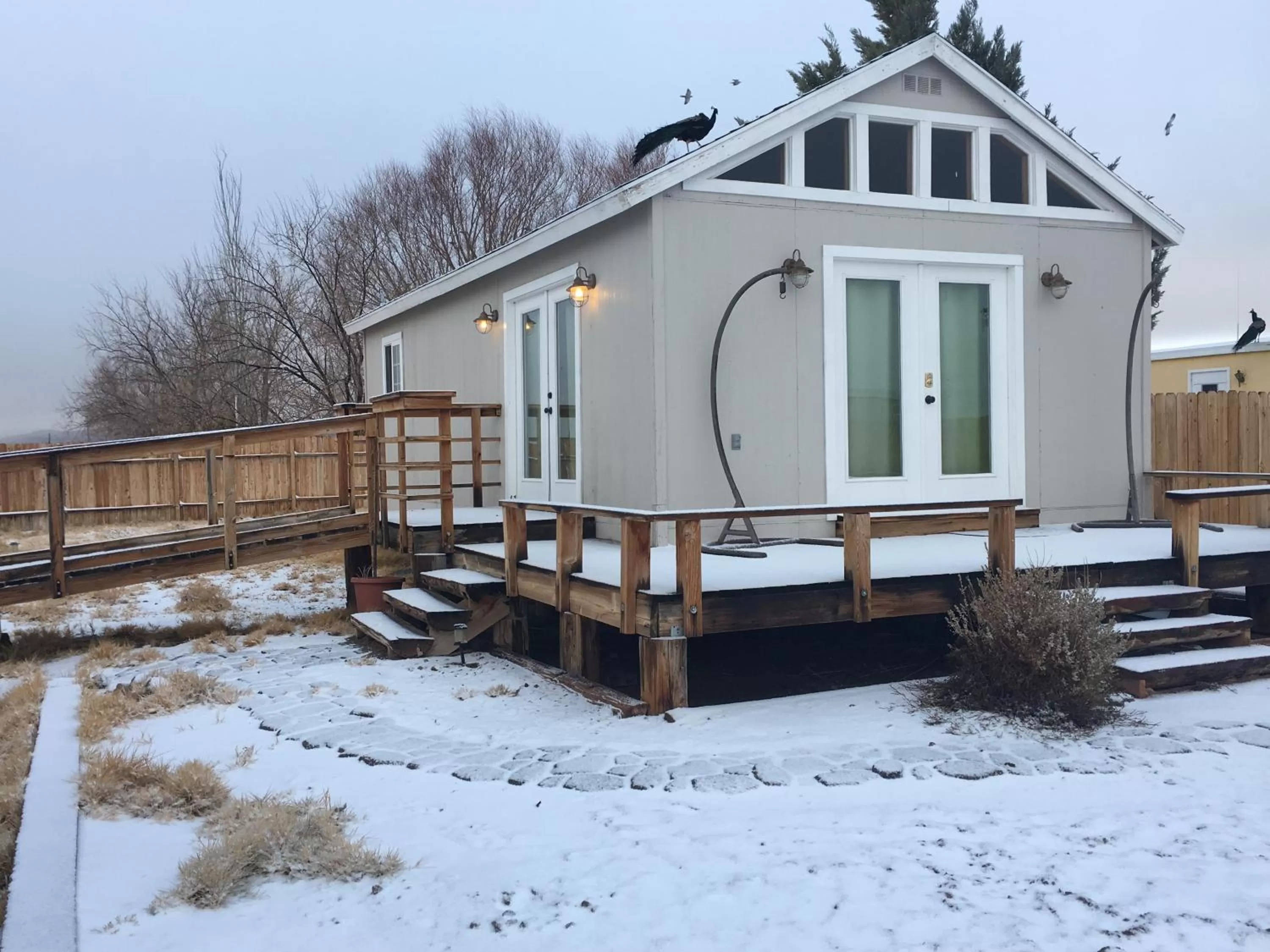 Balcony/Terrace in Shady Lady Bed and Breakfast