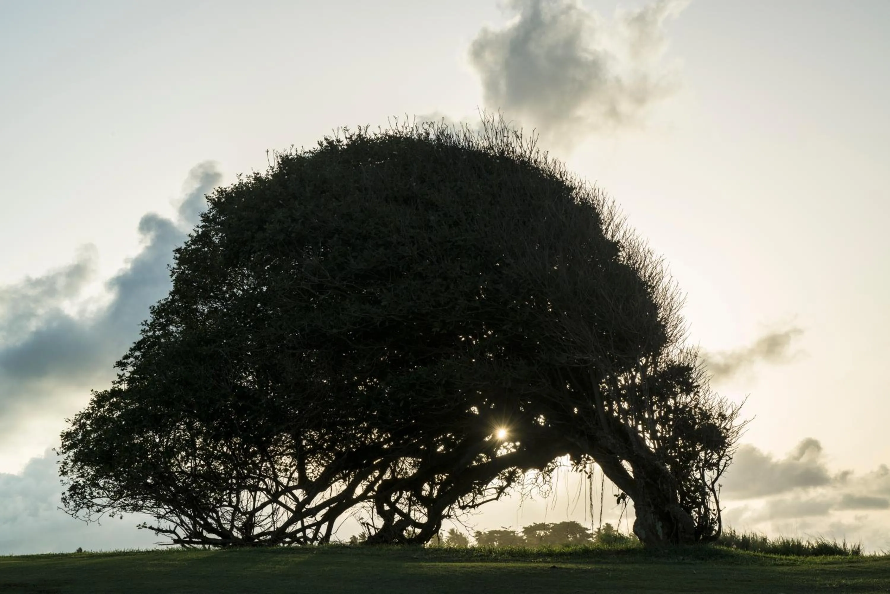 Natural landscape in Royal Isabela
