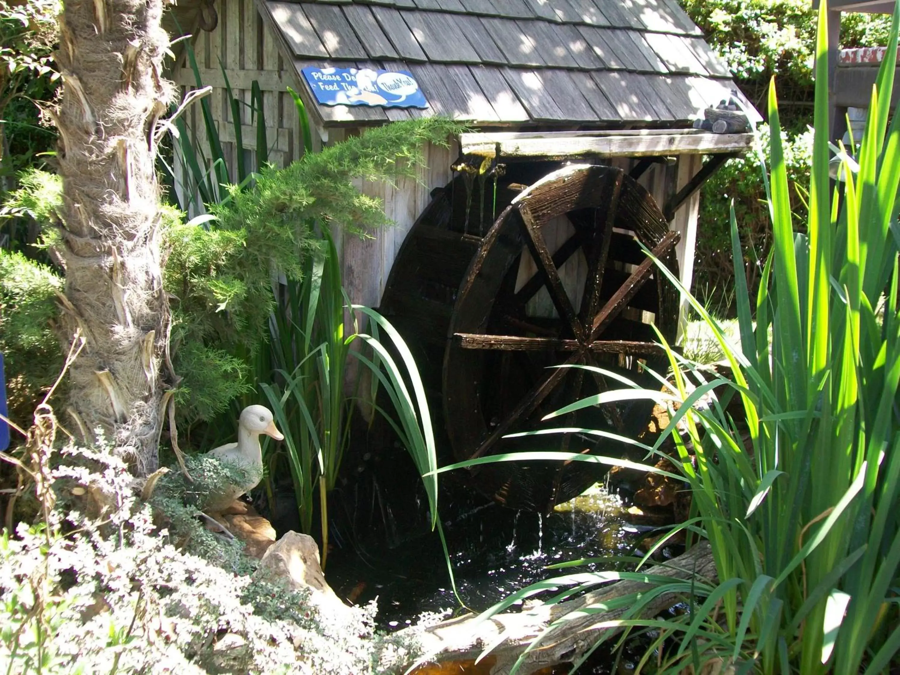 Garden in Adelaide Inn