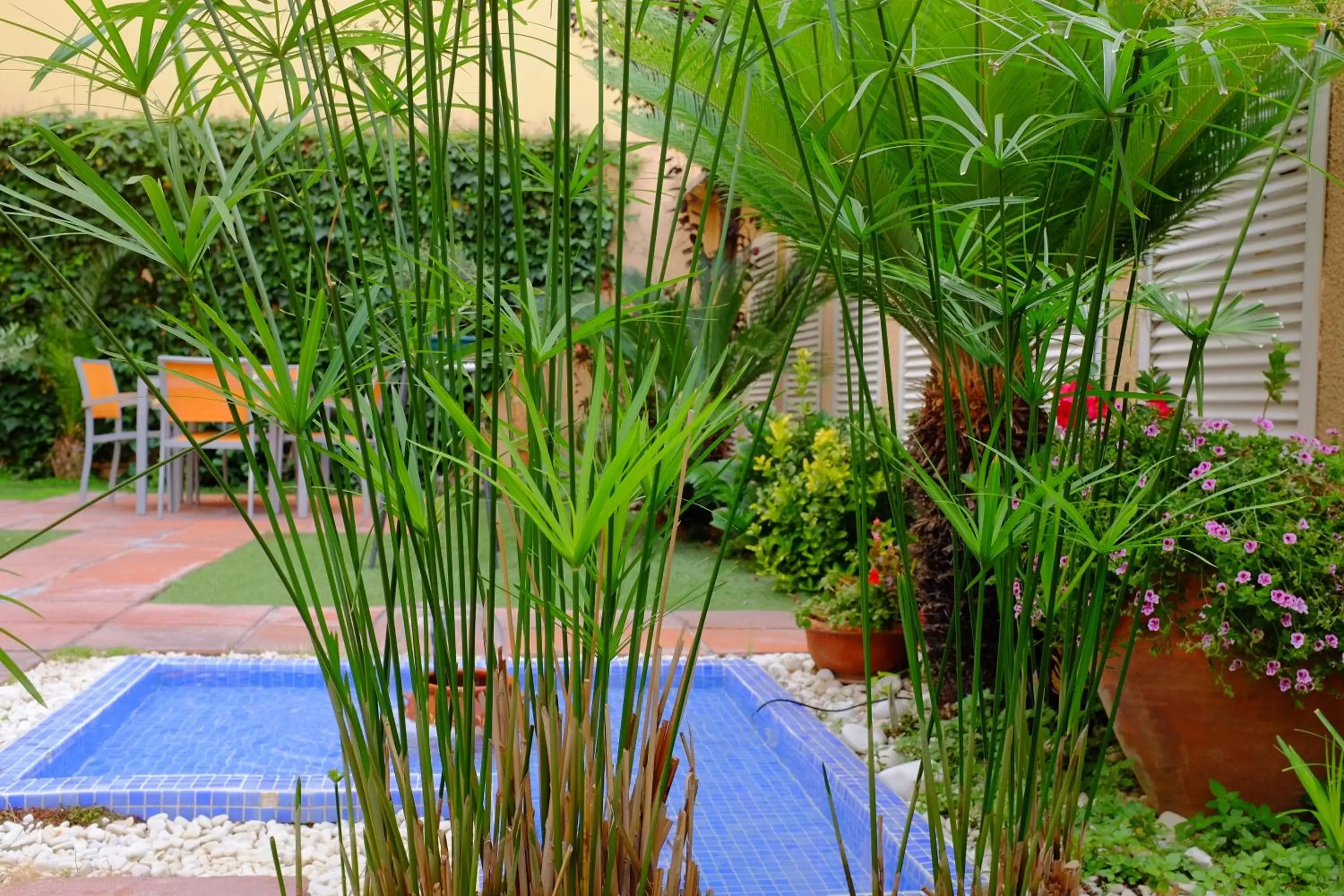Patio, Swimming Pool in Aparthotel Silver