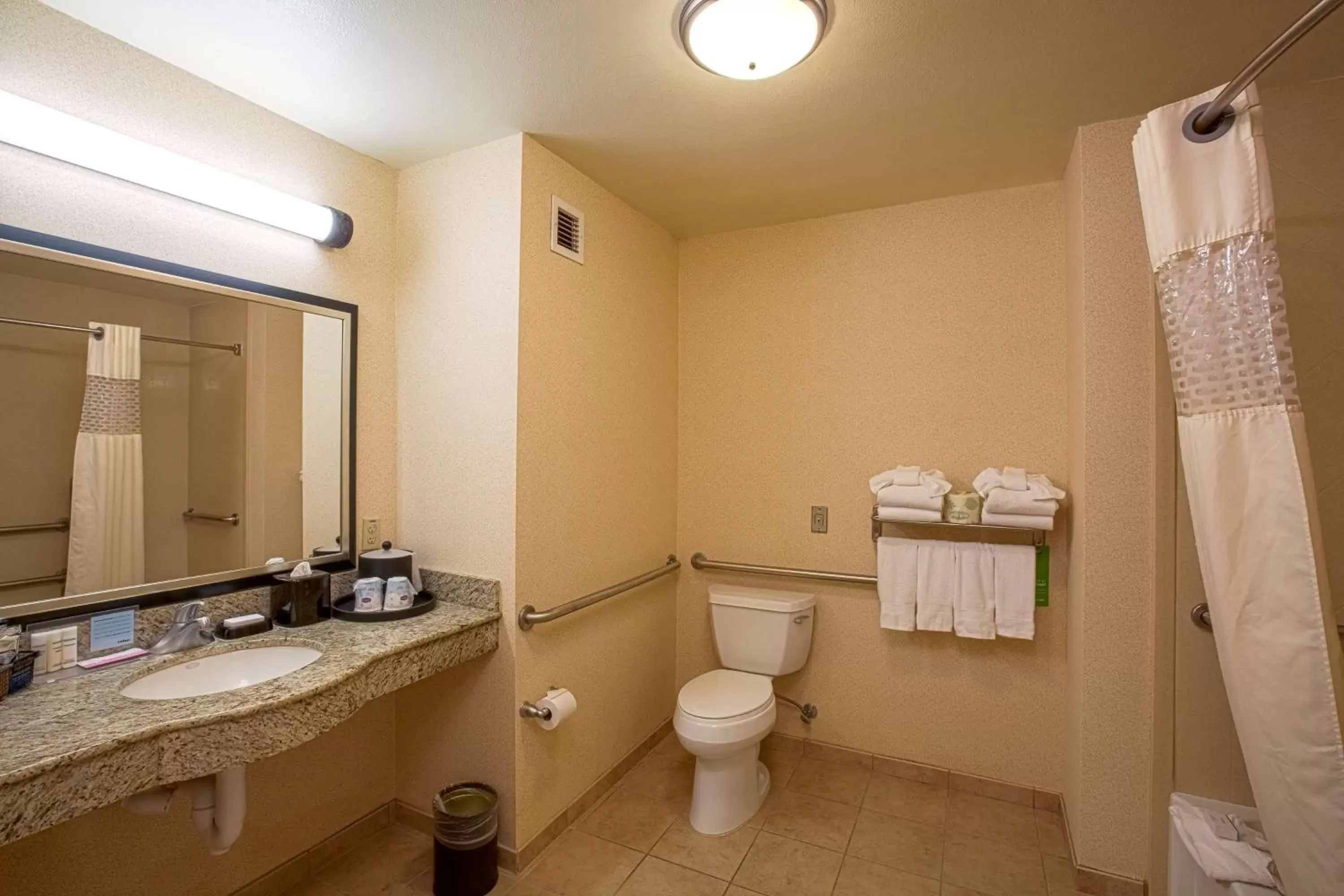 Bathroom in Hampton Inn & Suites Sacramento-Elk Grove Laguna I-5