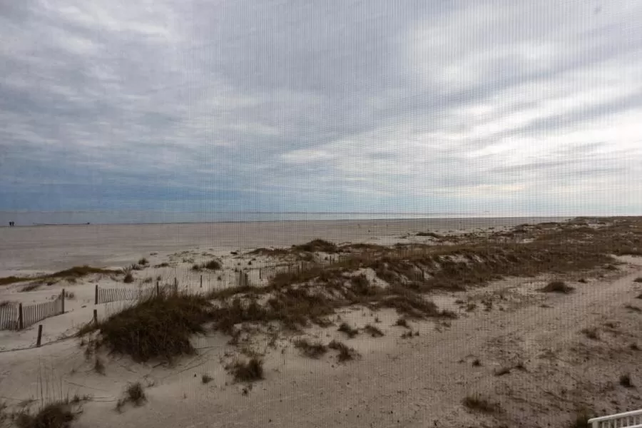 Beach in Wild Dunes Resort - Vacation Rentals