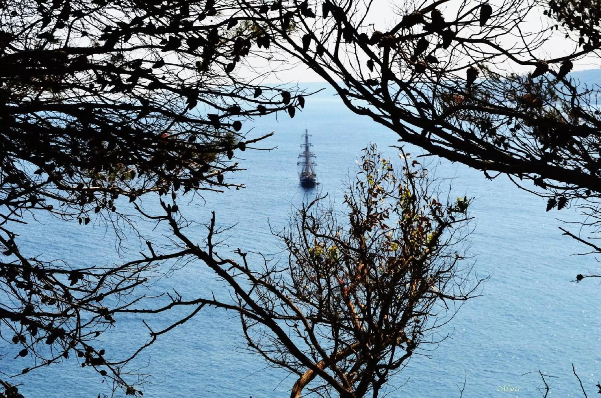 Natural landscape in B&B La Rosa Antica