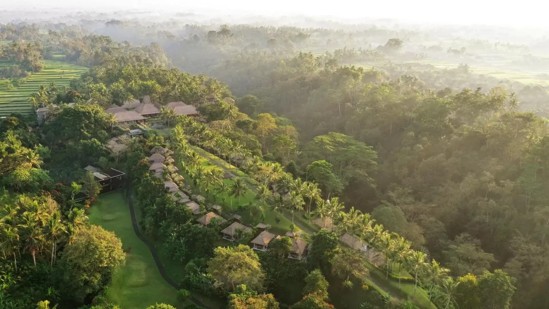 Natural landscape, Bird's-eye View in Maya Ubud Resort & Spa