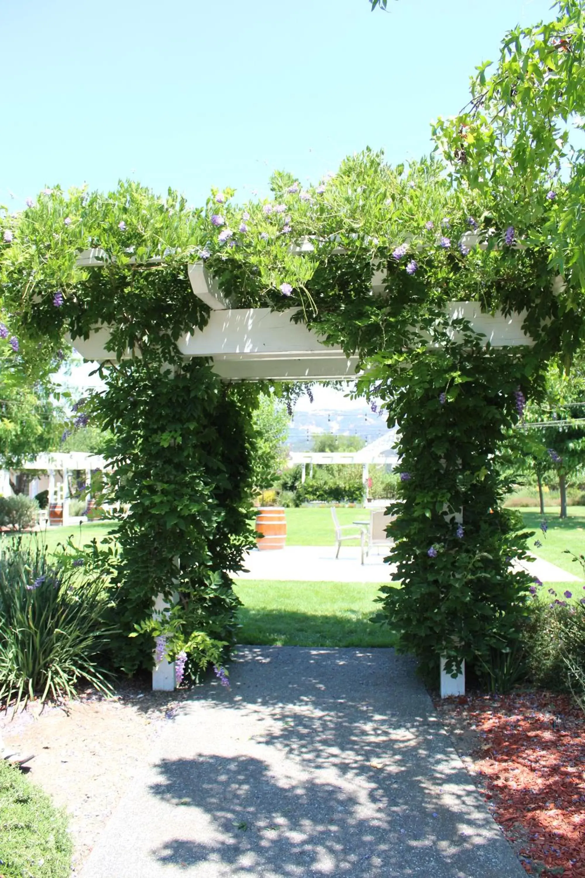 Banquet/Function facilities, Garden in Geyserville Inn