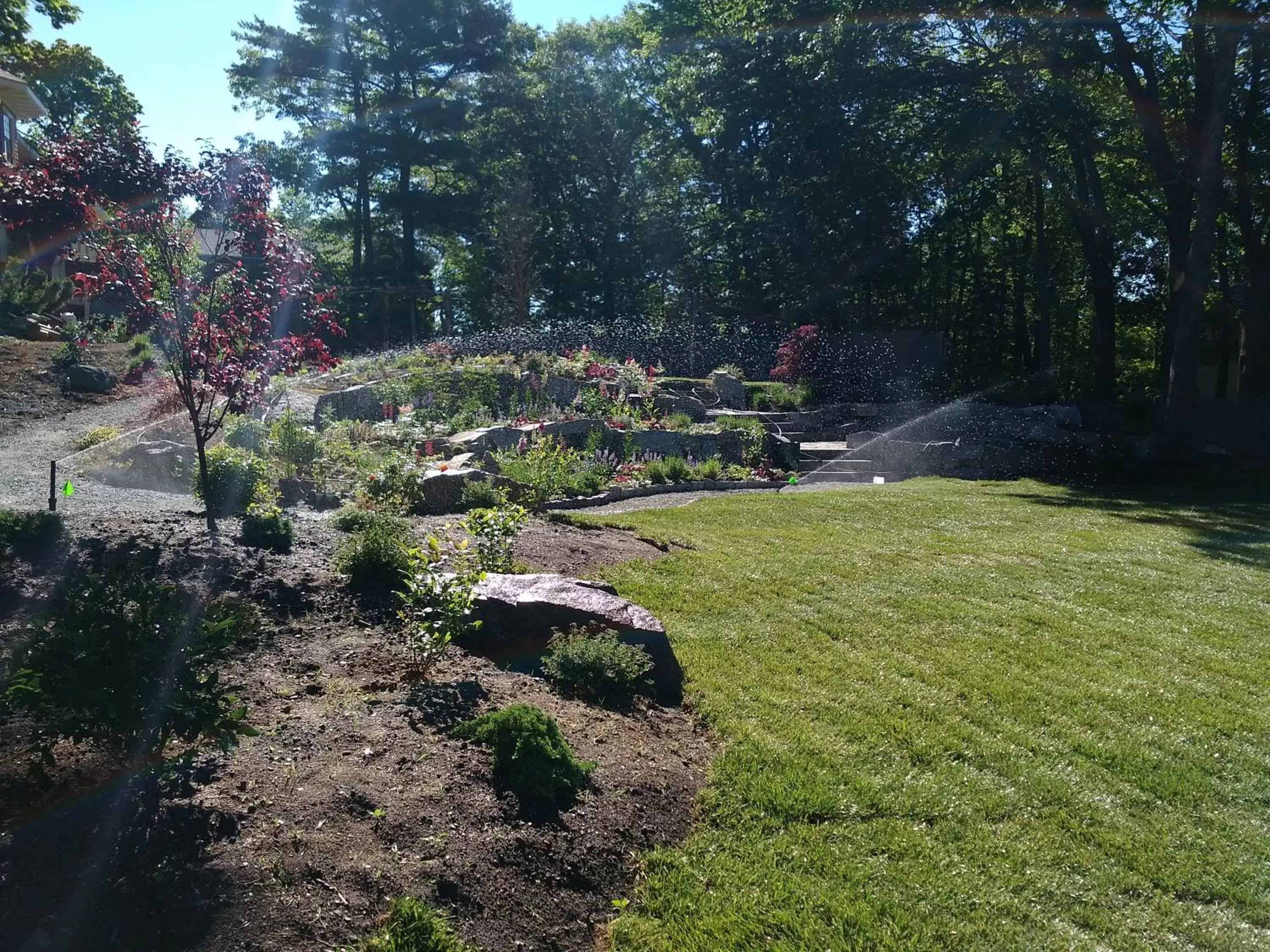 Garden in The Inn on Mount Desert