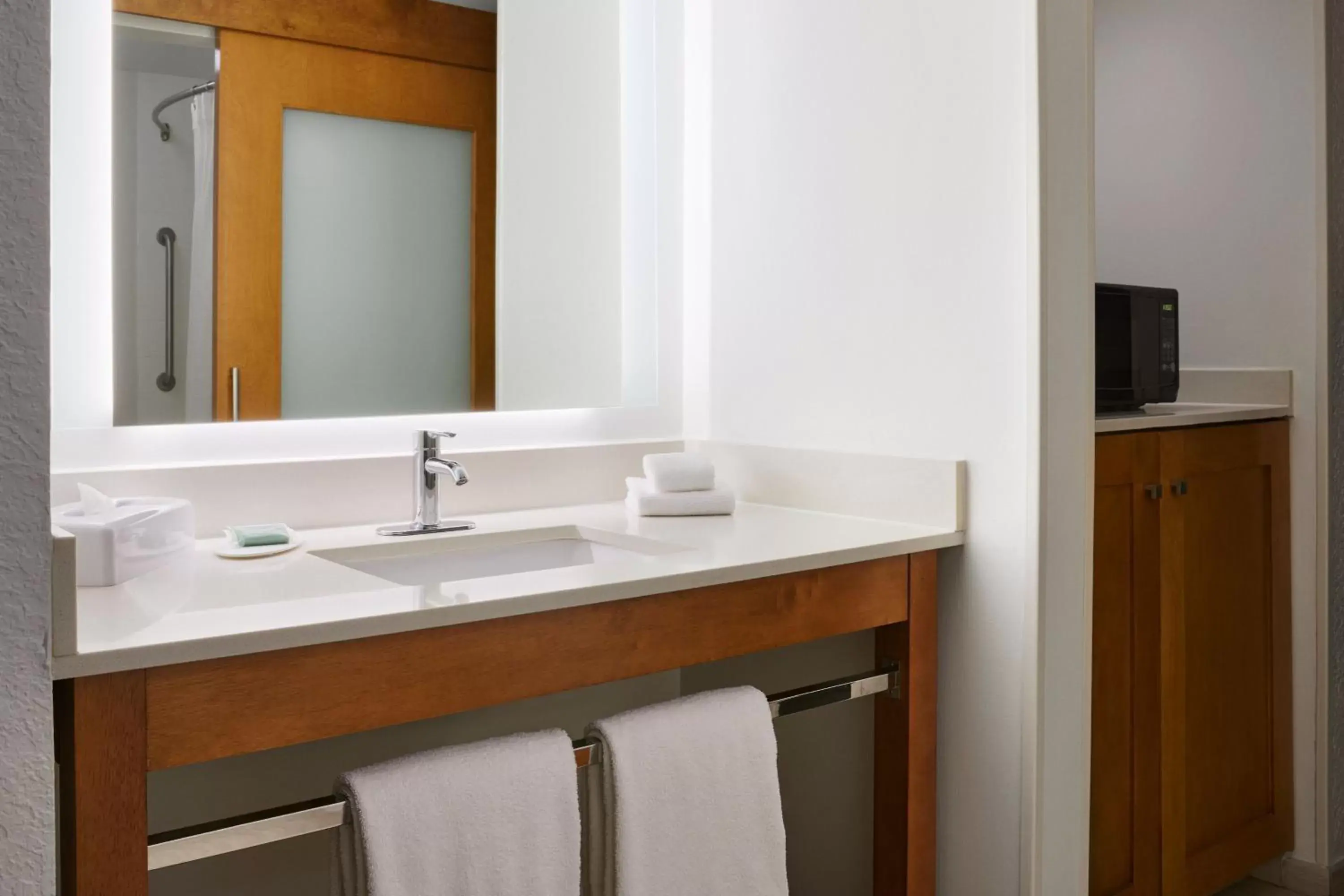 Bathroom in SpringHill Suites by Marriott San Antonio Downtown-Riverwalk Area