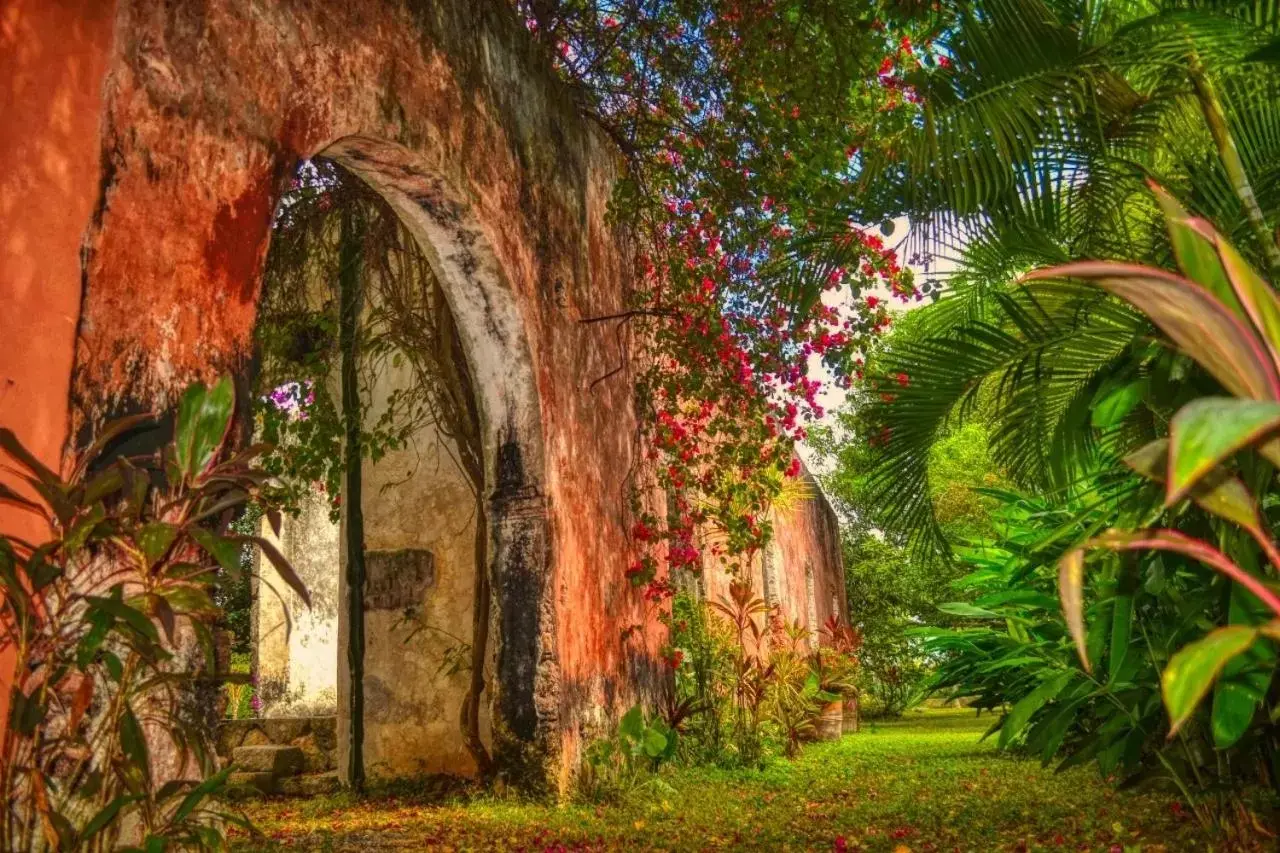 Garden in Hacienda Sacnicte