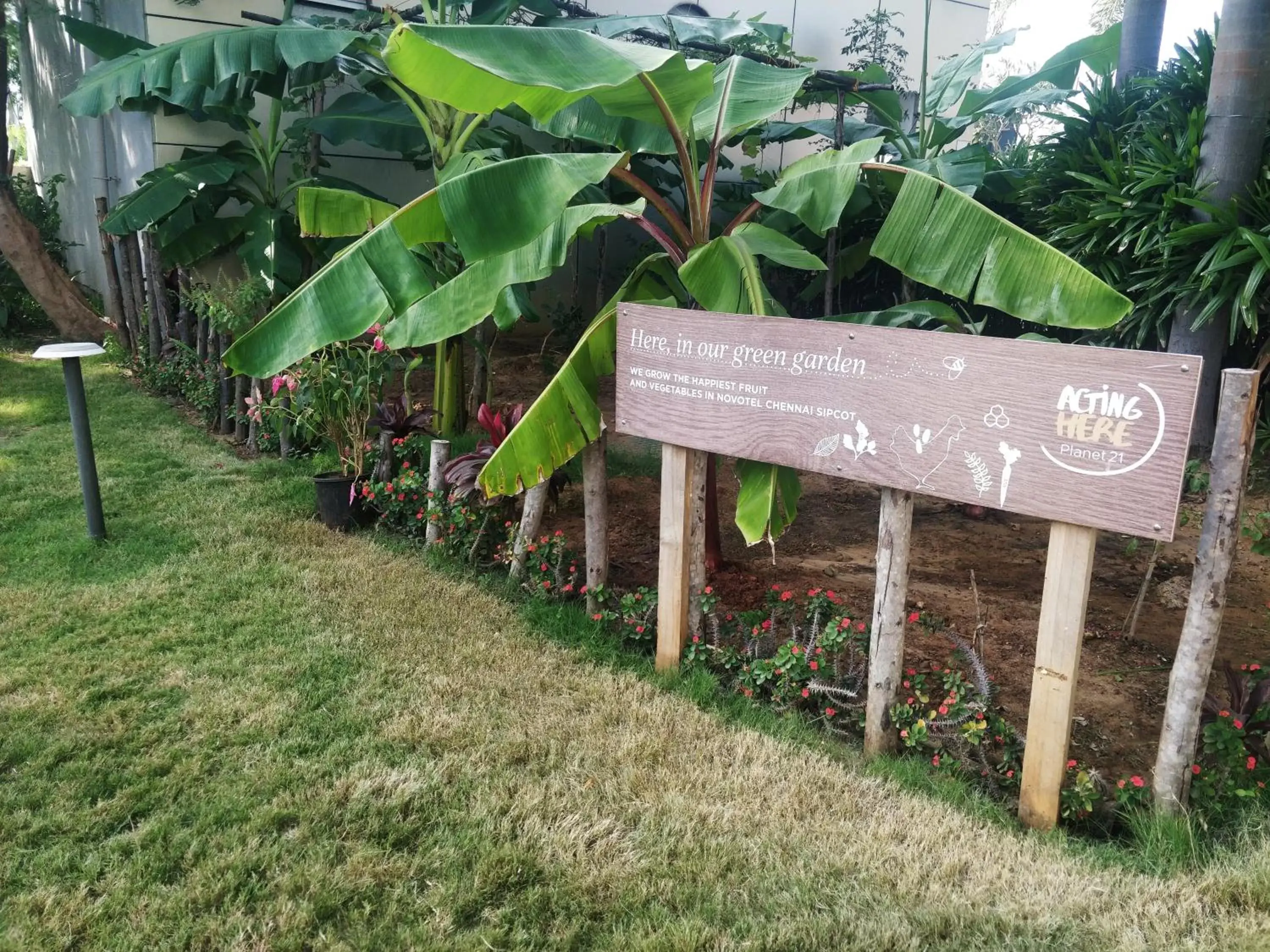 Natural landscape in Novotel Chennai Sipcot