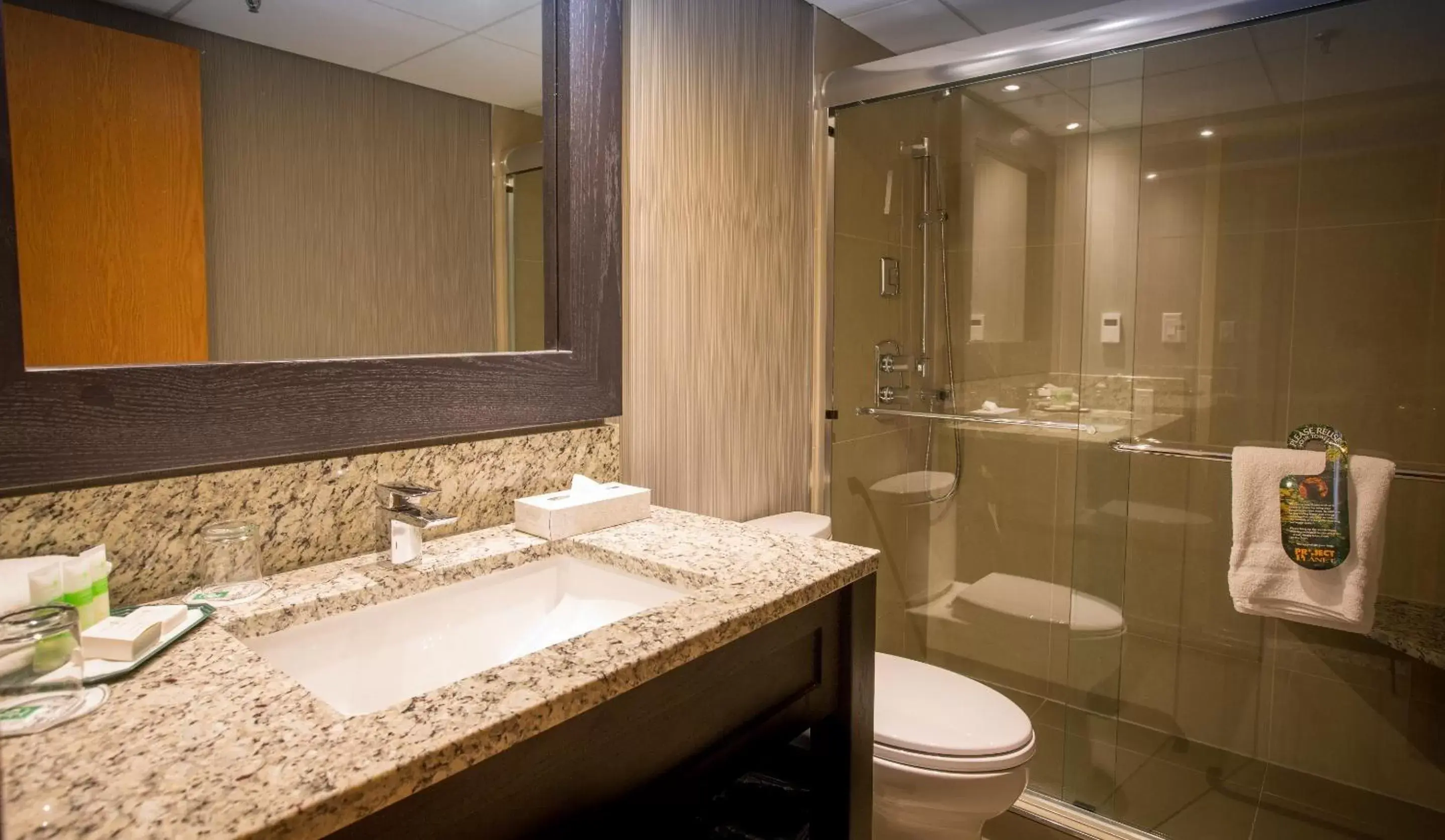 Bathroom in Banff Park Lodge