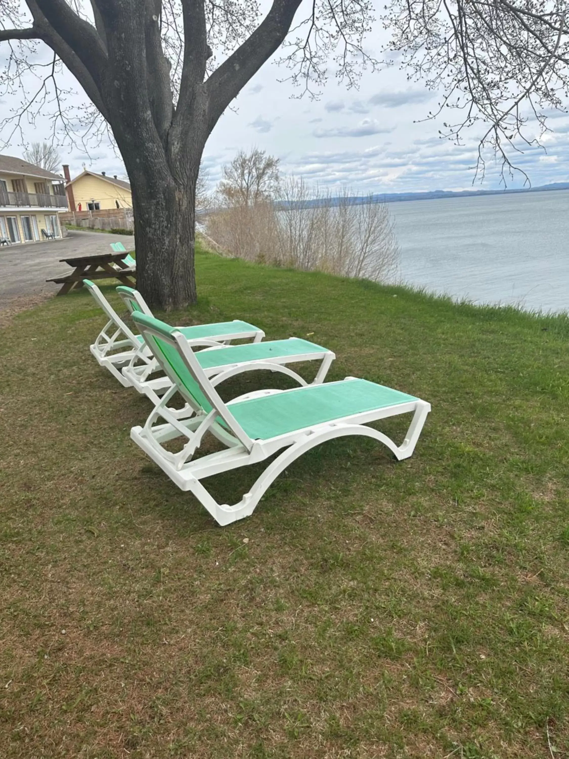 Garden in Motel Carleton Sur Mer