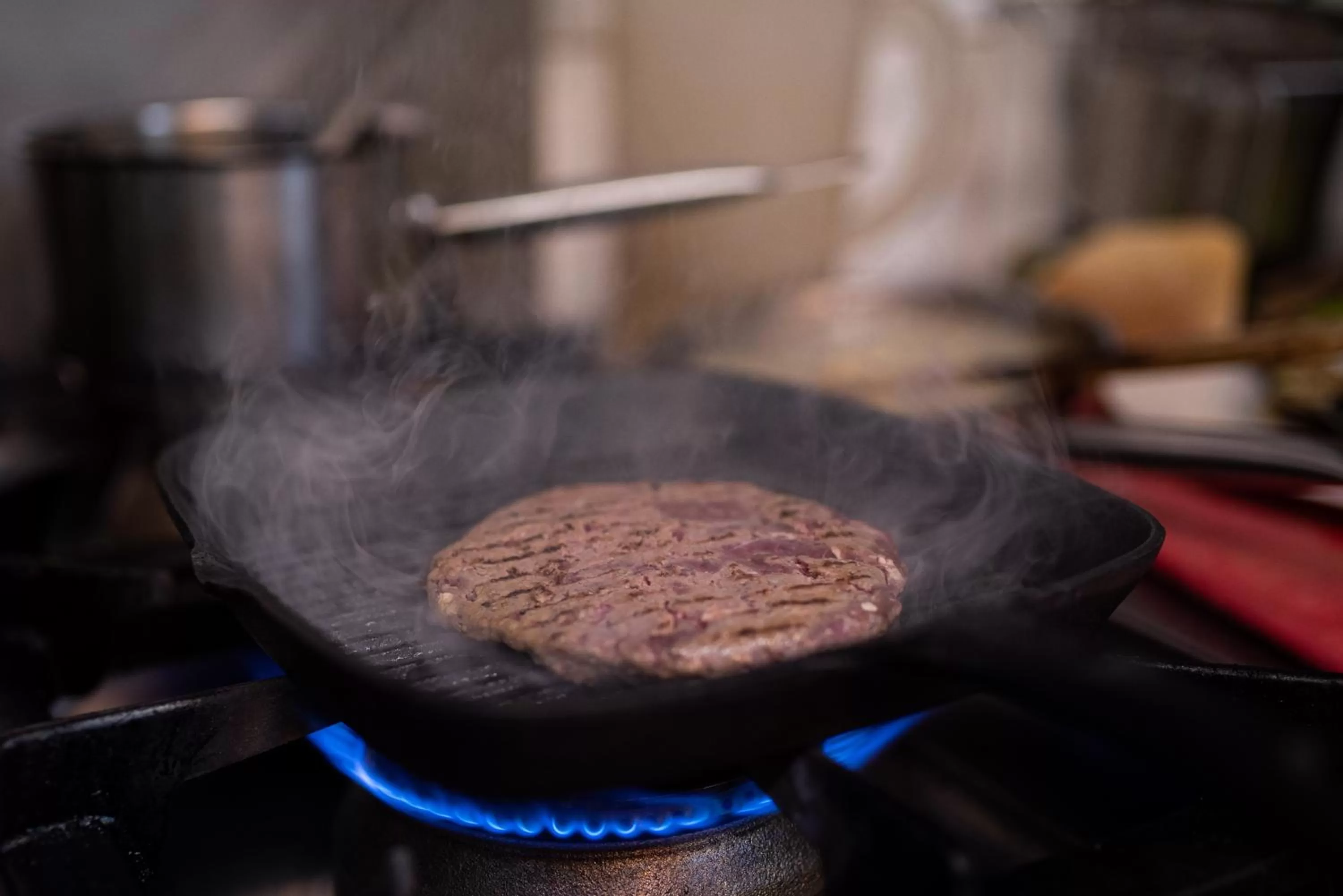 Hotel-Restauracja Platan