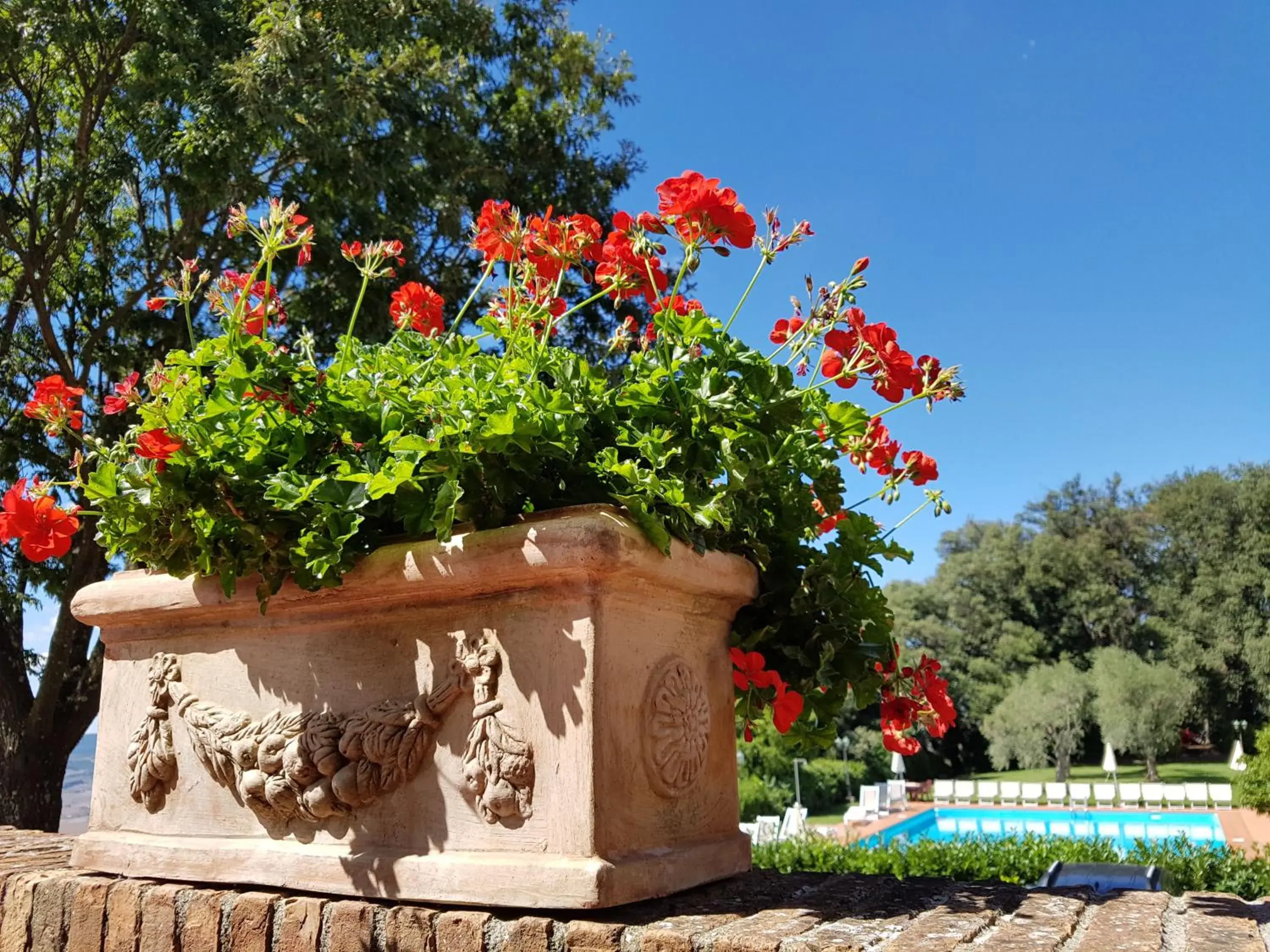 Decorative detail, Swimming Pool in Villa Nencini